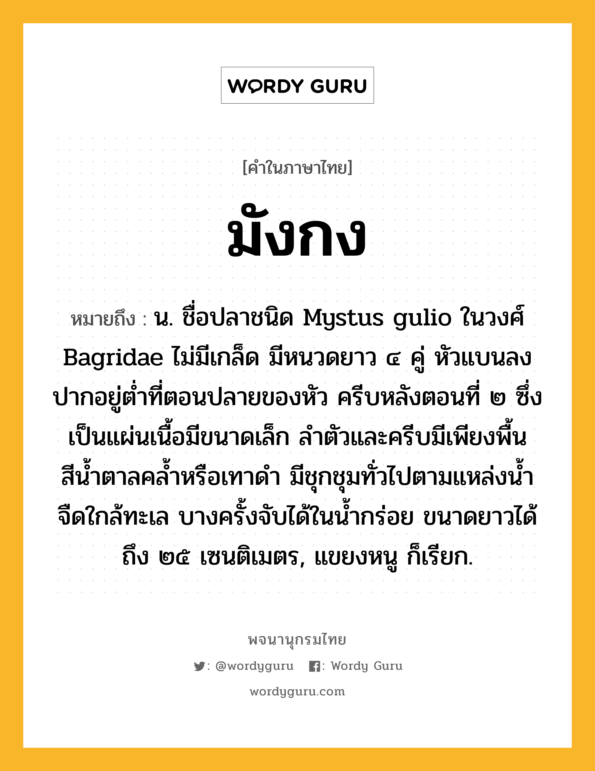 มังกง หมายถึงอะไร?, คำในภาษาไทย มังกง หมายถึง น. ชื่อปลาชนิด Mystus gulio ในวงศ์ Bagridae ไม่มีเกล็ด มีหนวดยาว ๔ คู่ หัวแบนลง ปากอยู่ตํ่าที่ตอนปลายของหัว ครีบหลังตอนที่ ๒ ซึ่งเป็นแผ่นเนื้อมีขนาดเล็ก ลําตัวและครีบมีเพียงพื้นสีนํ้าตาลคลํ้าหรือเทาดํา มีชุกชุมทั่วไปตามแหล่งนํ้าจืดใกล้ทะเล บางครั้งจับได้ในนํ้ากร่อย ขนาดยาวได้ถึง ๒๕ เซนติเมตร, แขยงหนู ก็เรียก.