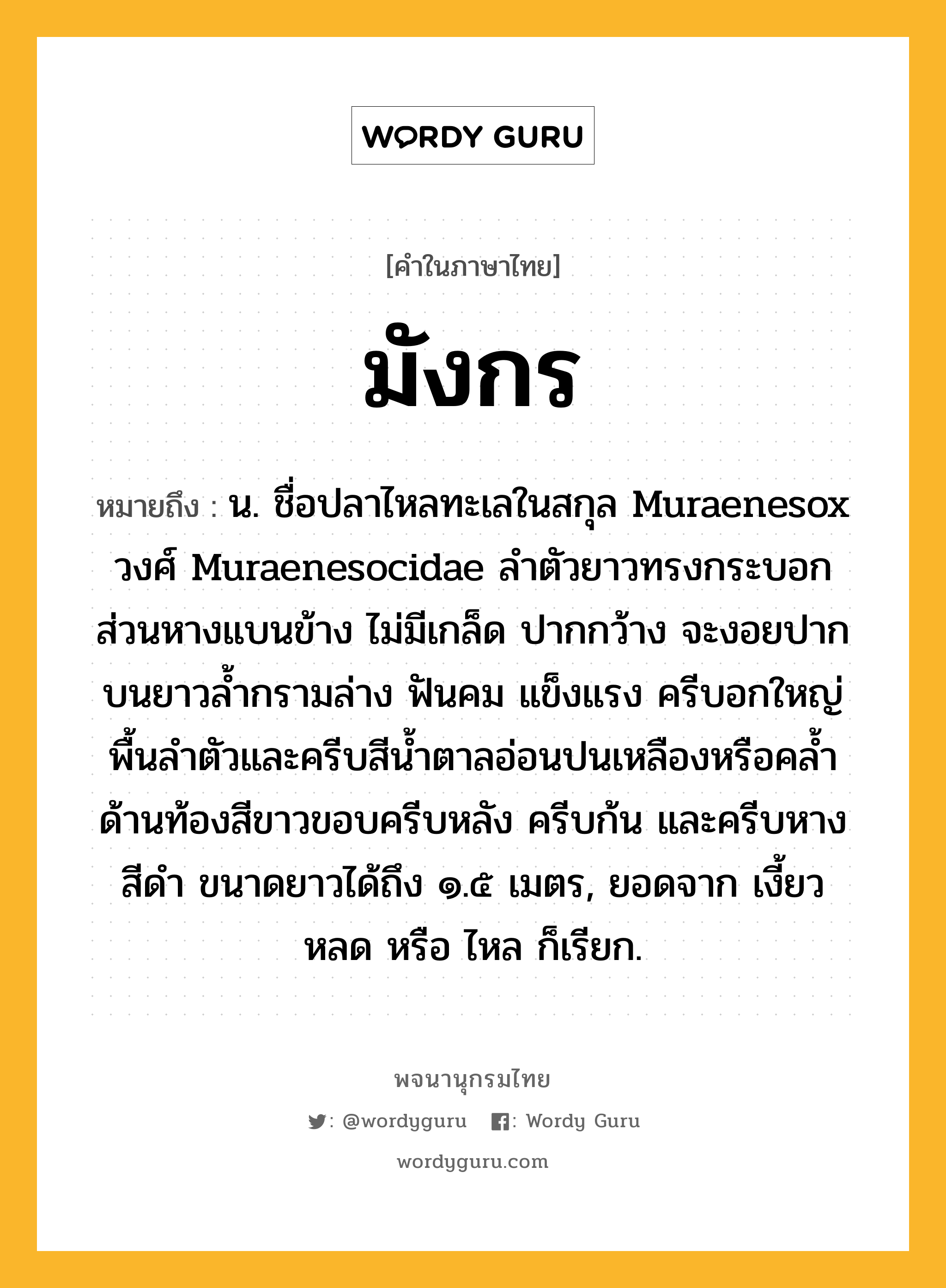 มังกร หมายถึงอะไร?, คำในภาษาไทย มังกร หมายถึง น. ชื่อปลาไหลทะเลในสกุล Muraenesox วงศ์ Muraenesocidae ลําตัวยาวทรงกระบอก ส่วนหางแบนข้าง ไม่มีเกล็ด ปากกว้าง จะงอยปากบนยาวลํ้ากรามล่าง ฟันคม แข็งแรง ครีบอกใหญ่ พื้นลําตัวและครีบสีนํ้าตาลอ่อนปนเหลืองหรือคลํ้า ด้านท้องสีขาวขอบครีบหลัง ครีบก้น และครีบหางสีดํา ขนาดยาวได้ถึง ๑.๕ เมตร, ยอดจาก เงี้ยว หลด หรือ ไหล ก็เรียก.