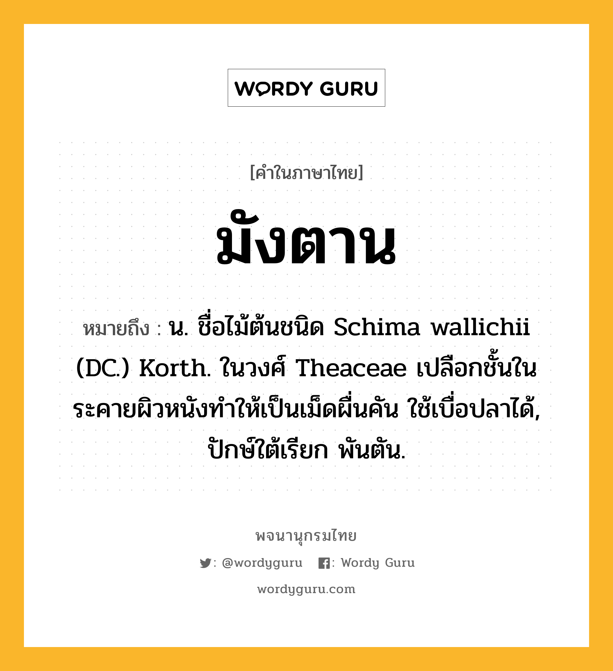 มังตาน หมายถึงอะไร?, คำในภาษาไทย มังตาน หมายถึง น. ชื่อไม้ต้นชนิด Schima wallichii (DC.) Korth. ในวงศ์ Theaceae เปลือกชั้นในระคายผิวหนังทําให้เป็นเม็ดผื่นคัน ใช้เบื่อปลาได้, ปักษ์ใต้เรียก พันตัน.