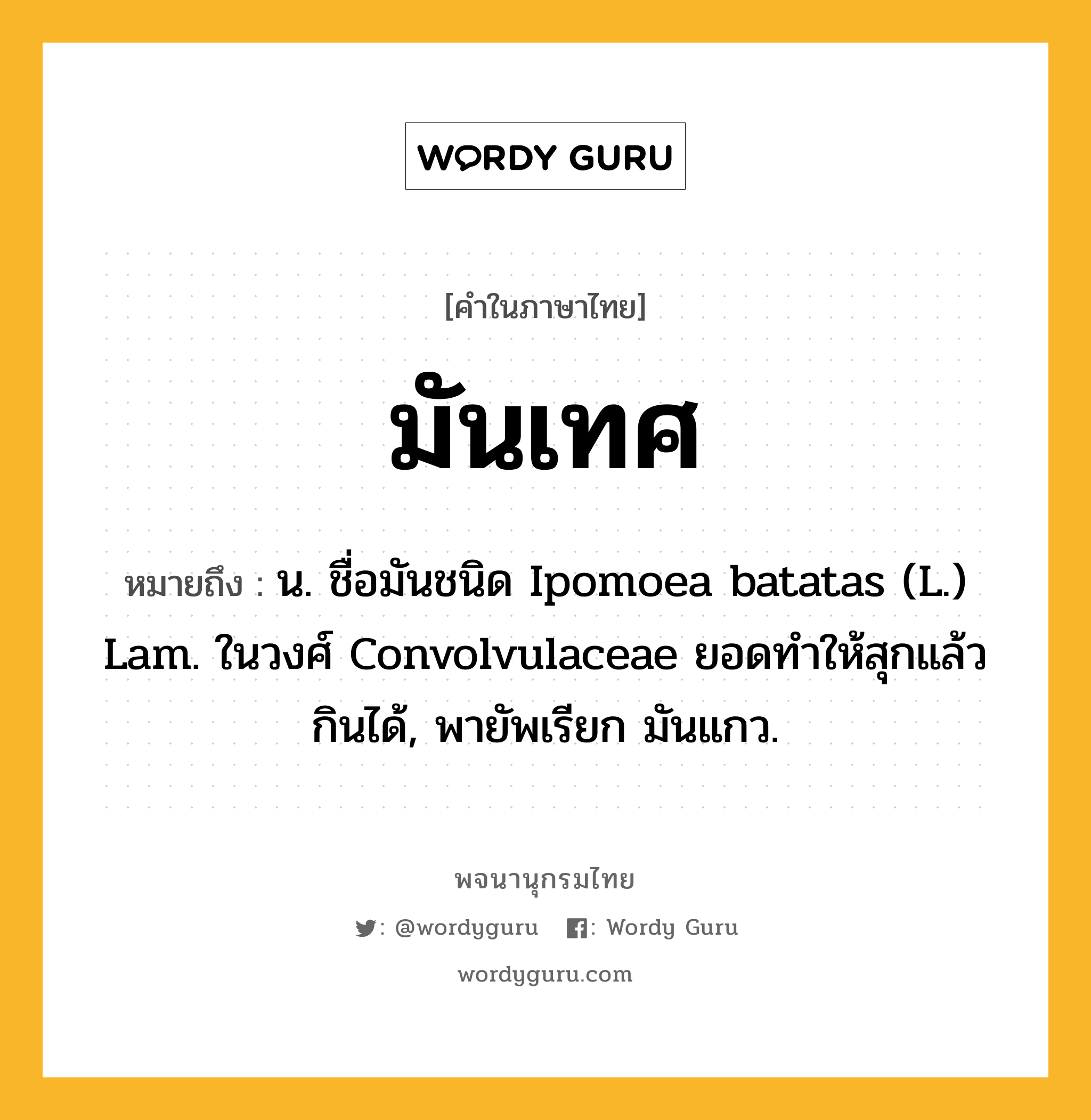 มันเทศ ความหมาย หมายถึงอะไร?, คำในภาษาไทย มันเทศ หมายถึง น. ชื่อมันชนิด Ipomoea batatas (L.) Lam. ในวงศ์ Convolvulaceae ยอดทําให้สุกแล้วกินได้, พายัพเรียก มันแกว.