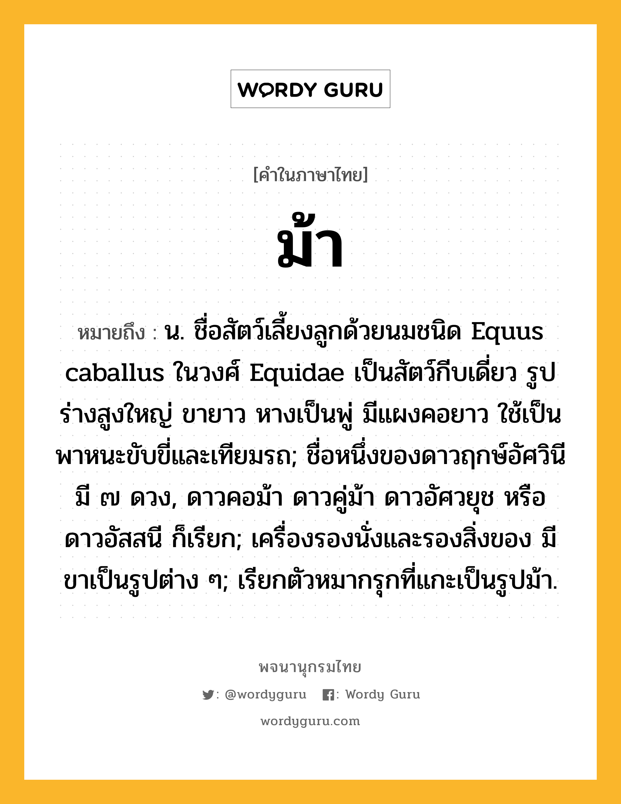 ม้า หมายถึงอะไร?, คำในภาษาไทย ม้า หมายถึง น. ชื่อสัตว์เลี้ยงลูกด้วยนมชนิด Equus caballus ในวงศ์ Equidae เป็นสัตว์กีบเดี่ยว รูปร่างสูงใหญ่ ขายาว หางเป็นพู่ มีแผงคอยาว ใช้เป็นพาหนะขับขี่และเทียมรถ; ชื่อหนึ่งของดาวฤกษ์อัศวินี มี ๗ ดวง, ดาวคอม้า ดาวคู่ม้า ดาวอัศวยุช หรือ ดาวอัสสนี ก็เรียก; เครื่องรองนั่งและรองสิ่งของ มีขาเป็นรูปต่าง ๆ; เรียกตัวหมากรุกที่แกะเป็นรูปม้า.