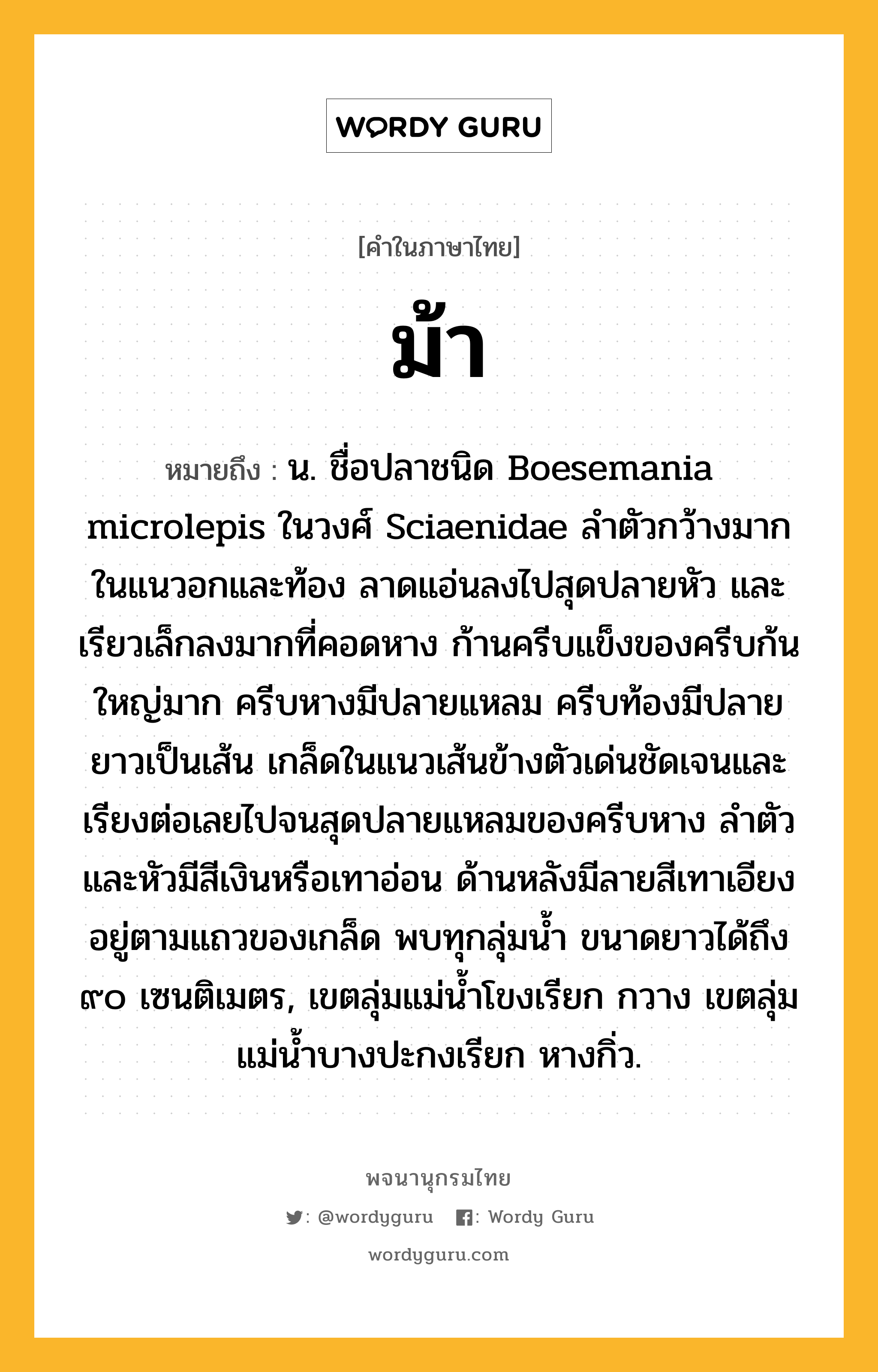 ม้า หมายถึงอะไร?, คำในภาษาไทย ม้า หมายถึง น. ชื่อปลาชนิด Boesemania microlepis ในวงศ์ Sciaenidae ลําตัวกว้างมากในแนวอกและท้อง ลาดแอ่นลงไปสุดปลายหัว และเรียวเล็กลงมากที่คอดหาง ก้านครีบแข็งของครีบก้นใหญ่มาก ครีบหางมีปลายแหลม ครีบท้องมีปลายยาวเป็นเส้น เกล็ดในแนวเส้นข้างตัวเด่นชัดเจนและเรียงต่อเลยไปจนสุดปลายแหลมของครีบหาง ลําตัวและหัวมีสีเงินหรือเทาอ่อน ด้านหลังมีลายสีเทาเอียงอยู่ตามแถวของเกล็ด พบทุกลุ่มนํ้า ขนาดยาวได้ถึง ๙๐ เซนติเมตร, เขตลุ่มแม่นํ้าโขงเรียก กวาง เขตลุ่มแม่นํ้าบางปะกงเรียก หางกิ่ว.