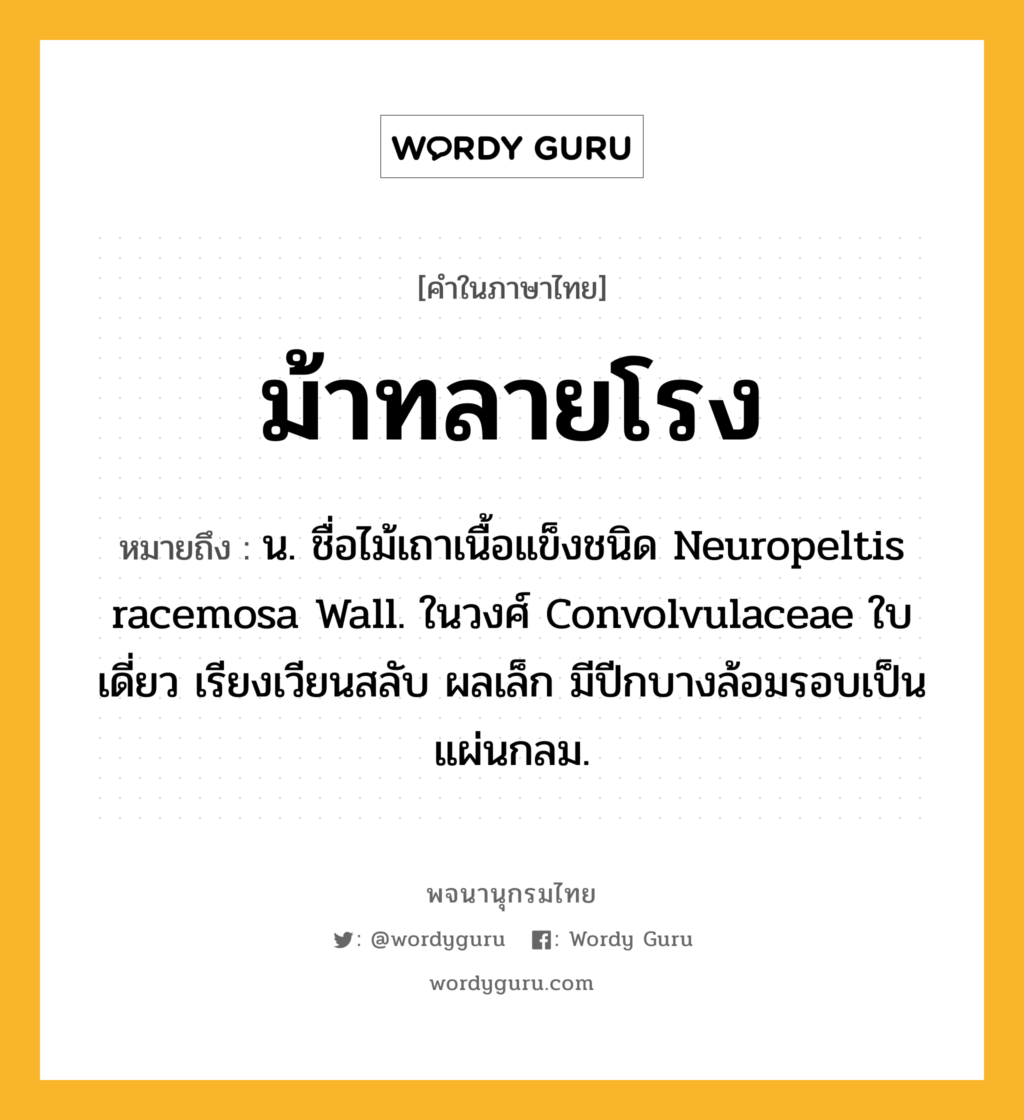 ม้าทลายโรง ความหมาย หมายถึงอะไร?, คำในภาษาไทย ม้าทลายโรง หมายถึง น. ชื่อไม้เถาเนื้อแข็งชนิด Neuropeltis racemosa Wall. ในวงศ์ Convolvulaceae ใบเดี่ยว เรียงเวียนสลับ ผลเล็ก มีปีกบางล้อมรอบเป็นแผ่นกลม.