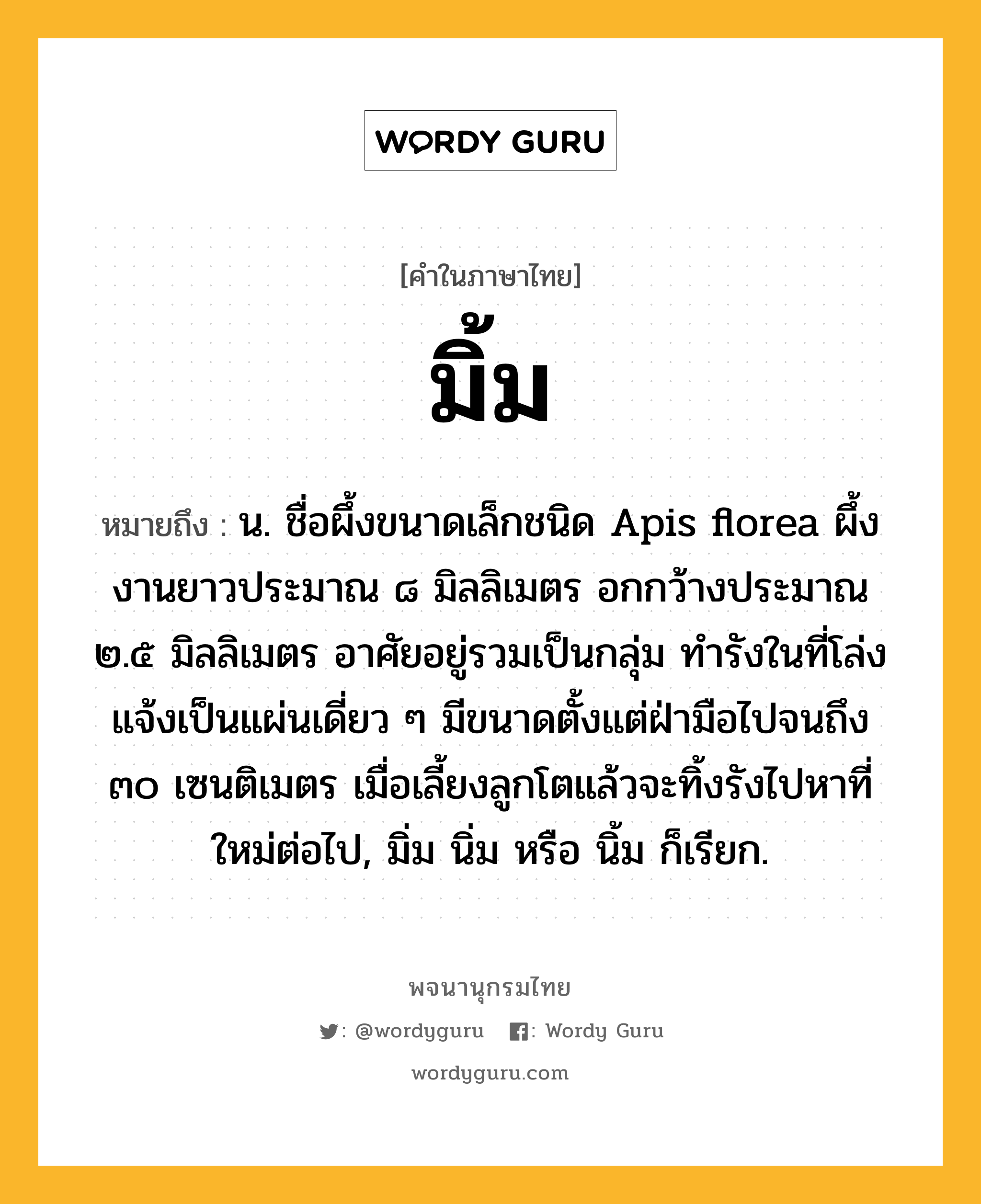 มิ้ม หมายถึงอะไร?, คำในภาษาไทย มิ้ม หมายถึง น. ชื่อผึ้งขนาดเล็กชนิด Apis florea ผึ้งงานยาวประมาณ ๘ มิลลิเมตร อกกว้างประมาณ ๒.๕ มิลลิเมตร อาศัยอยู่รวมเป็นกลุ่ม ทํารังในที่โล่งแจ้งเป็นแผ่นเดี่ยว ๆ มีขนาดตั้งแต่ฝ่ามือไปจนถึง ๓๐ เซนติเมตร เมื่อเลี้ยงลูกโตแล้วจะทิ้งรังไปหาที่ใหม่ต่อไป, มิ่ม นิ่ม หรือ นิ้ม ก็เรียก.