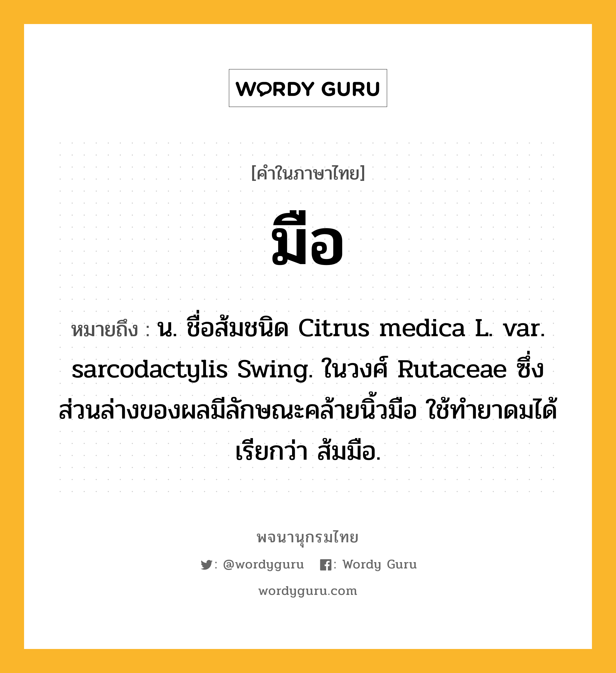 มือ หมายถึงอะไร?, คำในภาษาไทย มือ หมายถึง น. ชื่อส้มชนิด Citrus medica L. var. sarcodactylis Swing. ในวงศ์ Rutaceae ซึ่งส่วนล่างของผลมีลักษณะคล้ายนิ้วมือ ใช้ทํายาดมได้ เรียกว่า ส้มมือ.