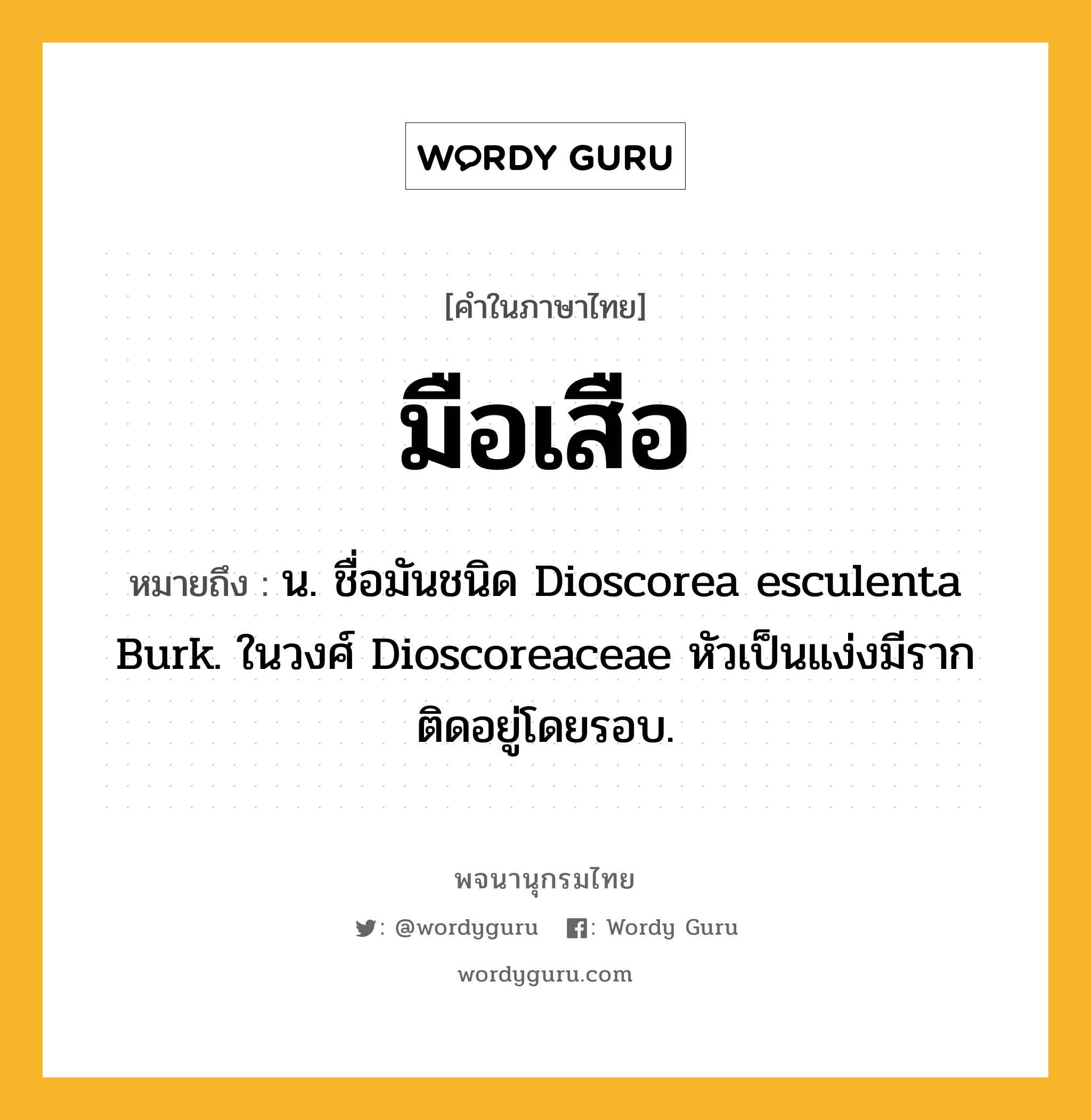 มือเสือ หมายถึงอะไร?, คำในภาษาไทย มือเสือ หมายถึง น. ชื่อมันชนิด Dioscorea esculenta Burk. ในวงศ์ Dioscoreaceae หัวเป็นแง่งมีรากติดอยู่โดยรอบ.