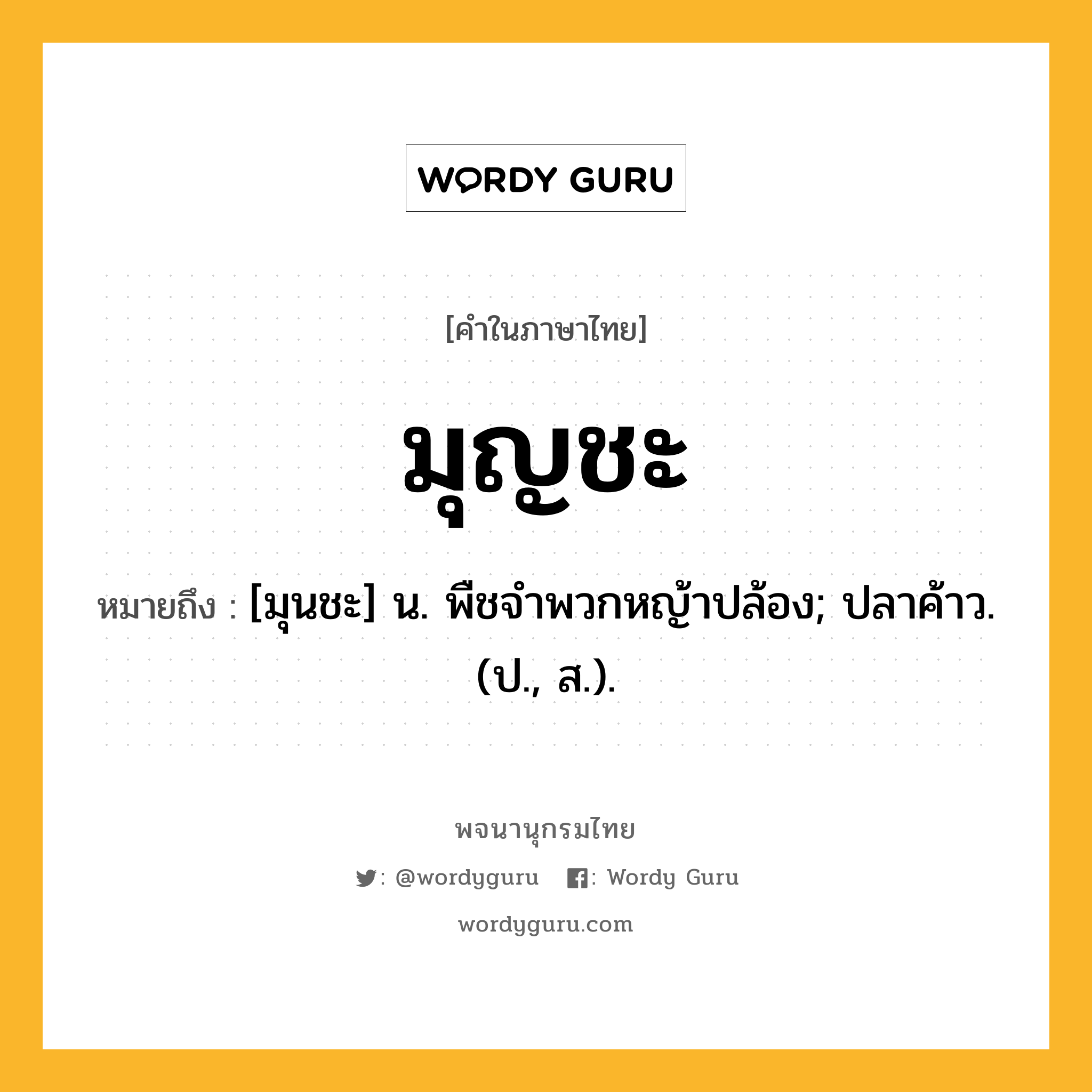 มุญชะ หมายถึงอะไร?, คำในภาษาไทย มุญชะ หมายถึง [มุนชะ] น. พืชจําพวกหญ้าปล้อง; ปลาค้าว. (ป., ส.).