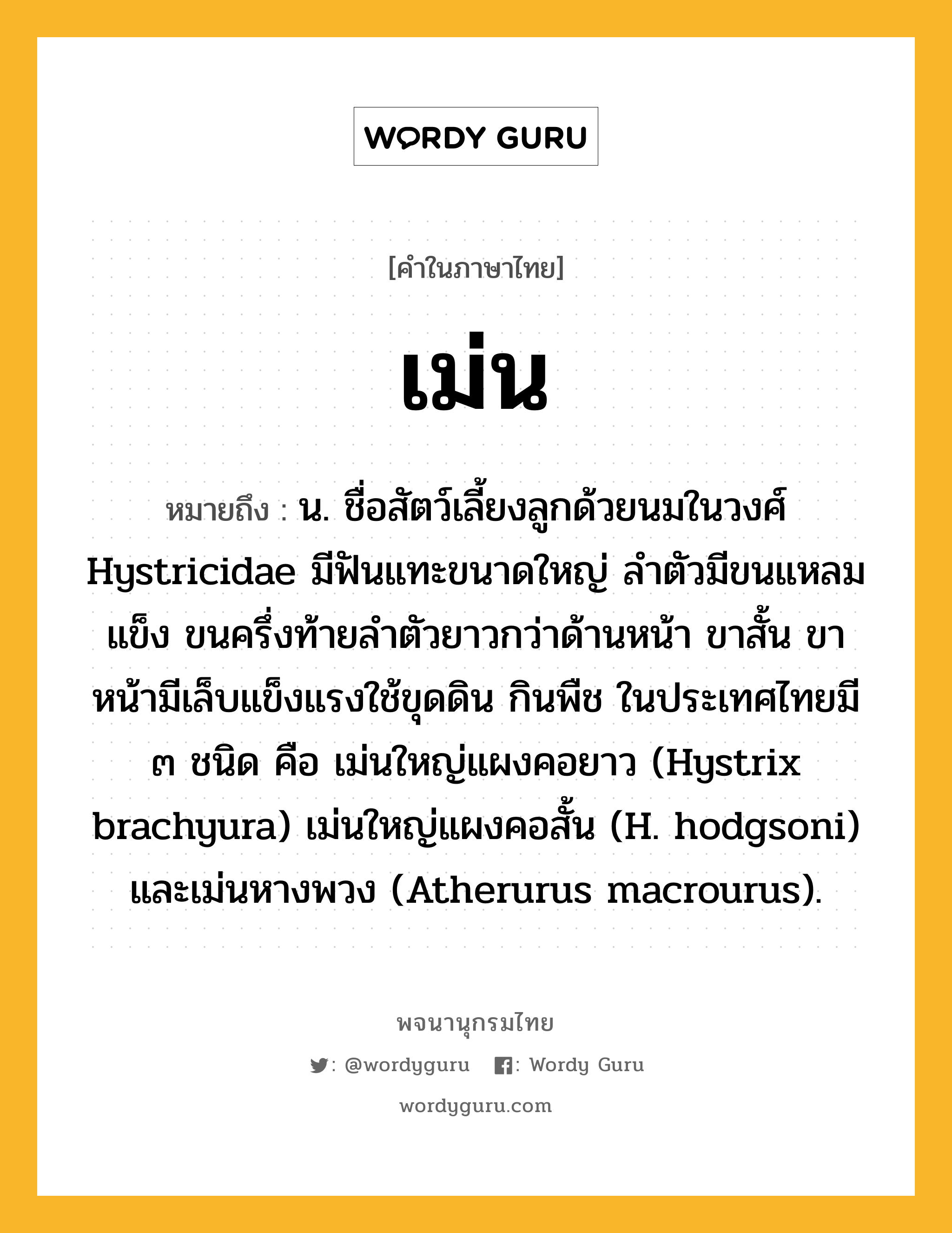 เม่น หมายถึงอะไร?, คำในภาษาไทย เม่น หมายถึง น. ชื่อสัตว์เลี้ยงลูกด้วยนมในวงศ์ Hystricidae มีฟันแทะขนาดใหญ่ ลําตัวมีขนแหลมแข็ง ขนครึ่งท้ายลำตัวยาวกว่าด้านหน้า ขาสั้น ขาหน้ามีเล็บแข็งแรงใช้ขุดดิน กินพืช ในประเทศไทยมี ๓ ชนิด คือ เม่นใหญ่แผงคอยาว (Hystrix brachyura) เม่นใหญ่แผงคอสั้น (H. hodgsoni) และเม่นหางพวง (Atherurus macrourus).