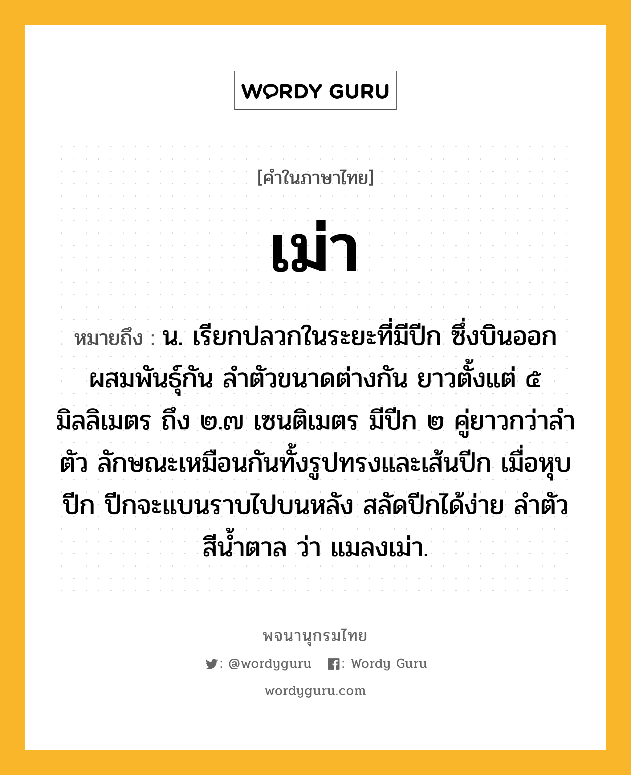 เม่า หมายถึงอะไร?, คำในภาษาไทย เม่า หมายถึง น. เรียกปลวกในระยะที่มีปีก ซึ่งบินออกผสมพันธุ์กัน ลําตัวขนาดต่างกัน ยาวตั้งแต่ ๕ มิลลิเมตร ถึง ๒.๗ เซนติเมตร มีปีก ๒ คู่ยาวกว่าลําตัว ลักษณะเหมือนกันทั้งรูปทรงและเส้นปีก เมื่อหุบปีก ปีกจะแบนราบไปบนหลัง สลัดปีกได้ง่าย ลําตัวสีนํ้าตาล ว่า แมลงเม่า.