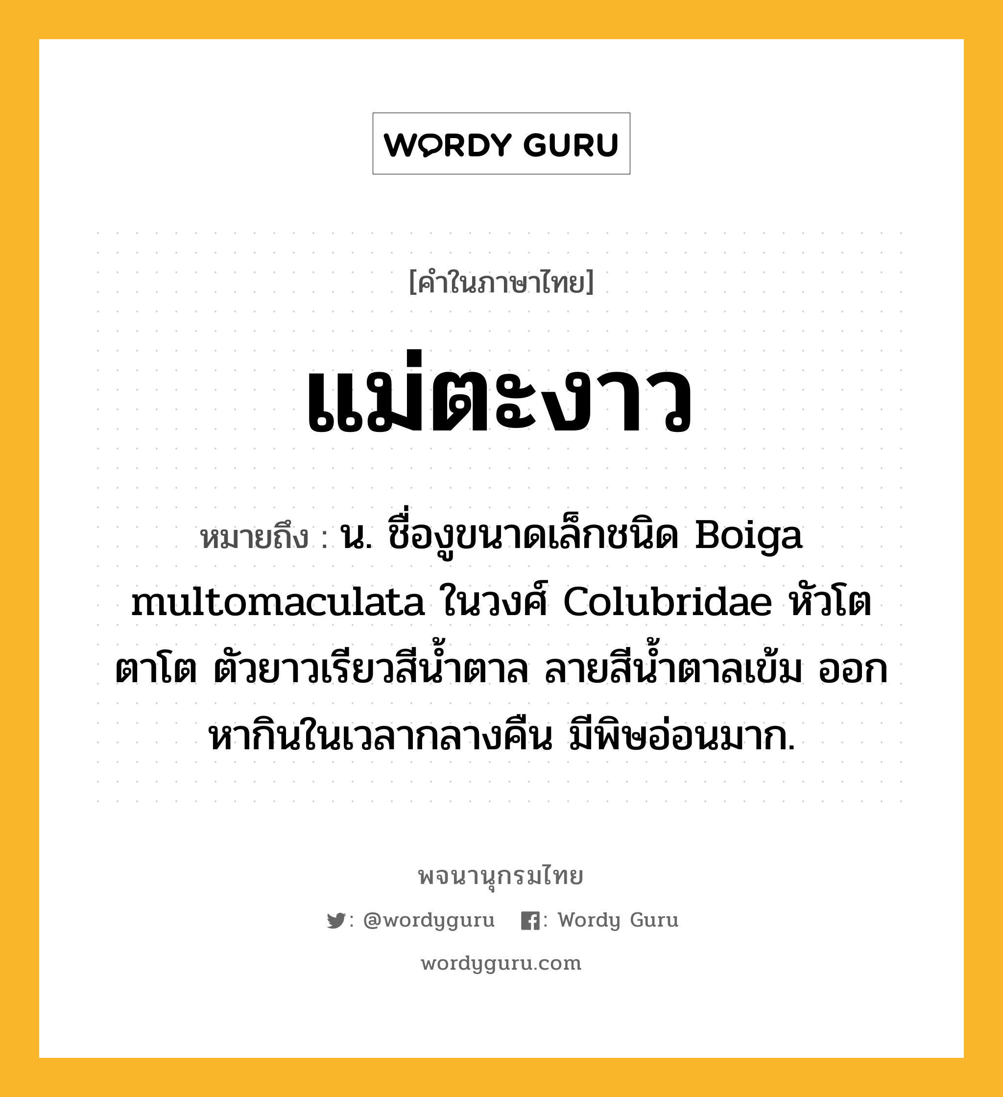 แม่ตะงาว หมายถึงอะไร?, คำในภาษาไทย แม่ตะงาว หมายถึง น. ชื่องูขนาดเล็กชนิด Boiga multomaculata ในวงศ์ Colubridae หัวโต ตาโต ตัวยาวเรียวสีนํ้าตาล ลายสีนํ้าตาลเข้ม ออกหากินในเวลากลางคืน มีพิษอ่อนมาก.