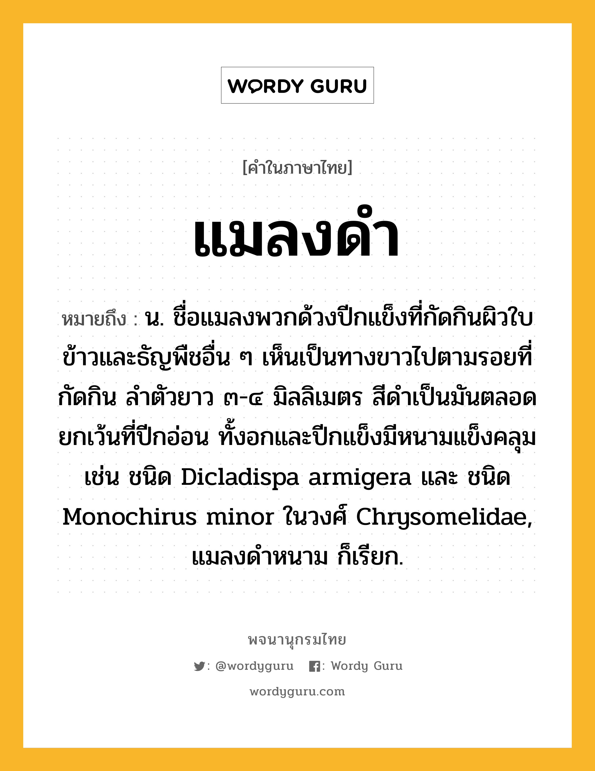 แมลงดำ ความหมาย หมายถึงอะไร?, คำในภาษาไทย แมลงดำ หมายถึง น. ชื่อแมลงพวกด้วงปีกแข็งที่กัดกินผิวใบข้าวและธัญพืชอื่น ๆ เห็นเป็นทางขาวไปตามรอยที่กัดกิน ลําตัวยาว ๓-๔ มิลลิเมตร สีดําเป็นมันตลอด ยกเว้นที่ปีกอ่อน ทั้งอกและปีกแข็งมีหนามแข็งคลุม เช่น ชนิด Dicladispa armigera และ ชนิด Monochirus minor ในวงศ์ Chrysomelidae, แมลงดําหนาม ก็เรียก.