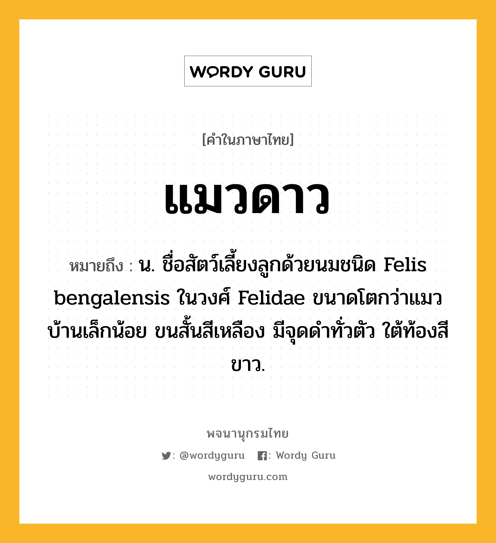 แมวดาว ความหมาย หมายถึงอะไร?, คำในภาษาไทย แมวดาว หมายถึง น. ชื่อสัตว์เลี้ยงลูกด้วยนมชนิด Felis bengalensis ในวงศ์ Felidae ขนาดโตกว่าแมวบ้านเล็กน้อย ขนสั้นสีเหลือง มีจุดดําทั่วตัว ใต้ท้องสีขาว.