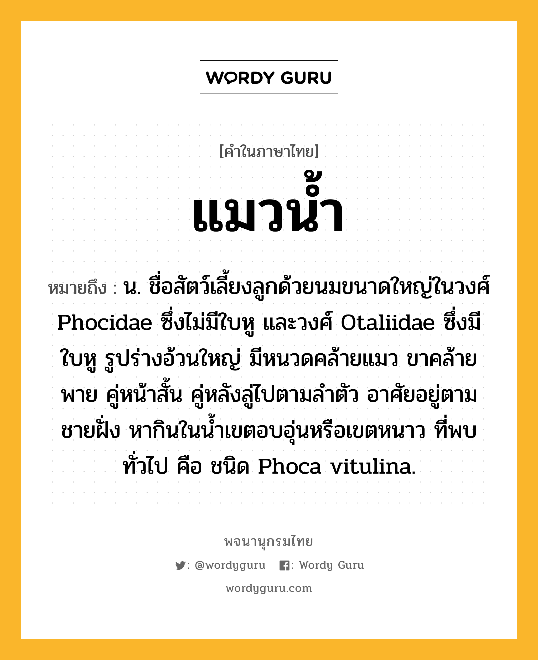 แมวน้ำ ความหมาย หมายถึงอะไร?, คำในภาษาไทย แมวน้ำ หมายถึง น. ชื่อสัตว์เลี้ยงลูกด้วยนมขนาดใหญ่ในวงศ์ Phocidae ซึ่งไม่มีใบหู และวงศ์ Otaliidae ซึ่งมีใบหู รูปร่างอ้วนใหญ่ มีหนวดคล้ายแมว ขาคล้ายพาย คู่หน้าสั้น คู่หลังลู่ไปตามลําตัว อาศัยอยู่ตามชายฝั่ง หากินในนํ้าเขตอบอุ่นหรือเขตหนาว ที่พบทั่วไป คือ ชนิด Phoca vitulina.