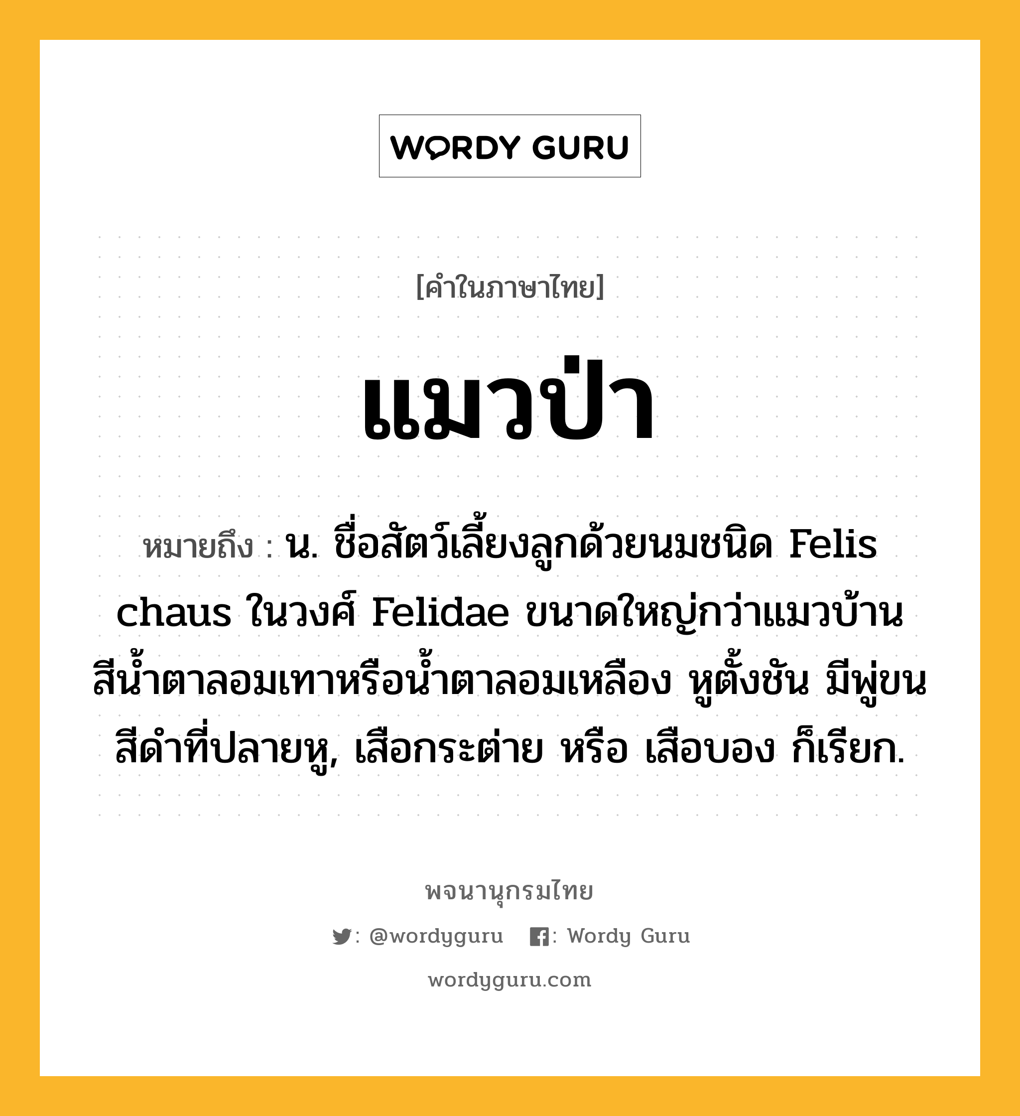 แมวป่า หมายถึงอะไร?, คำในภาษาไทย แมวป่า หมายถึง น. ชื่อสัตว์เลี้ยงลูกด้วยนมชนิด Felis chaus ในวงศ์ Felidae ขนาดใหญ่กว่าแมวบ้าน สีนํ้าตาลอมเทาหรือนํ้าตาลอมเหลือง หูตั้งชัน มีพู่ขนสีดําที่ปลายหู, เสือกระต่าย หรือ เสือบอง ก็เรียก.