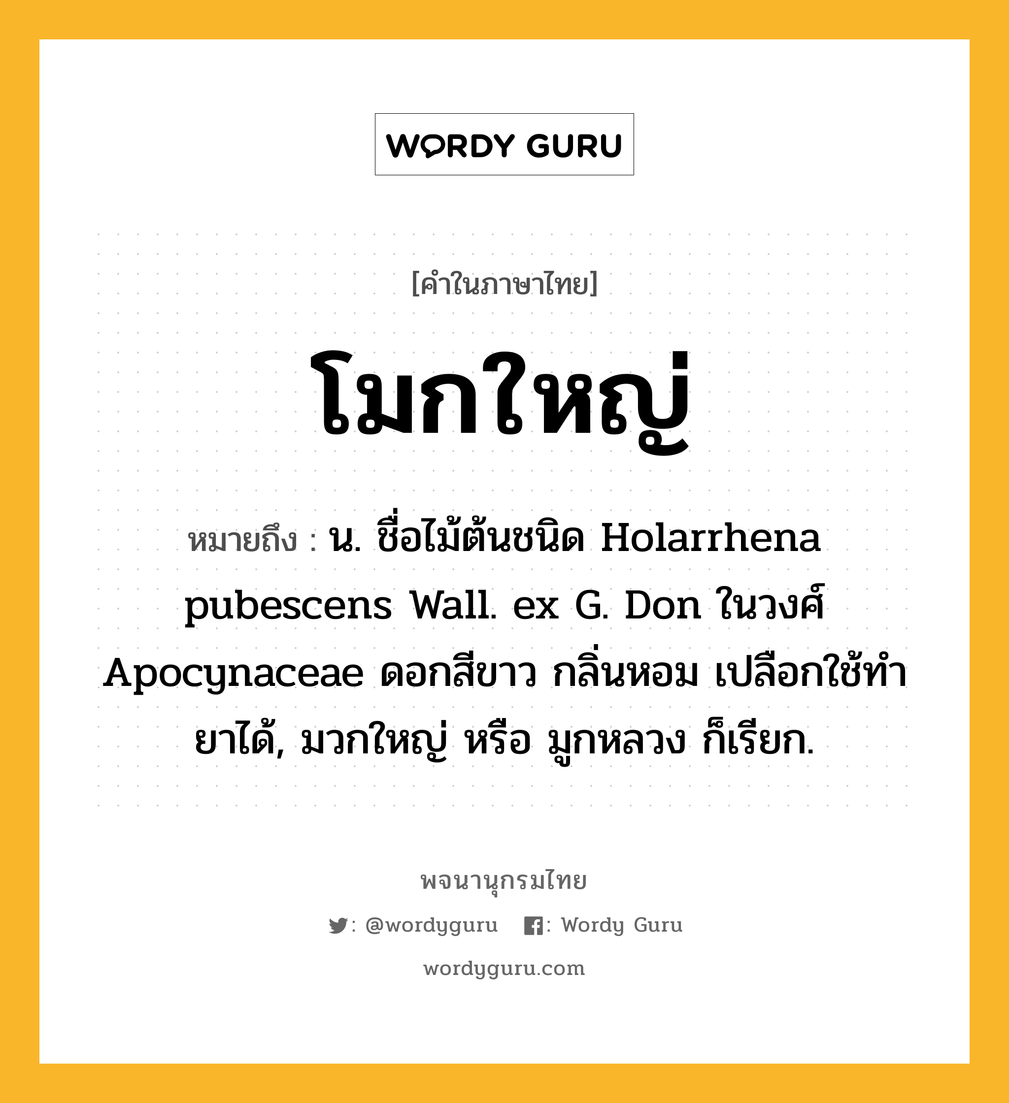 โมกใหญ่ หมายถึงอะไร?, คำในภาษาไทย โมกใหญ่ หมายถึง น. ชื่อไม้ต้นชนิด Holarrhena pubescens Wall. ex G. Don ในวงศ์ Apocynaceae ดอกสีขาว กลิ่นหอม เปลือกใช้ทํายาได้, มวกใหญ่ หรือ มูกหลวง ก็เรียก.