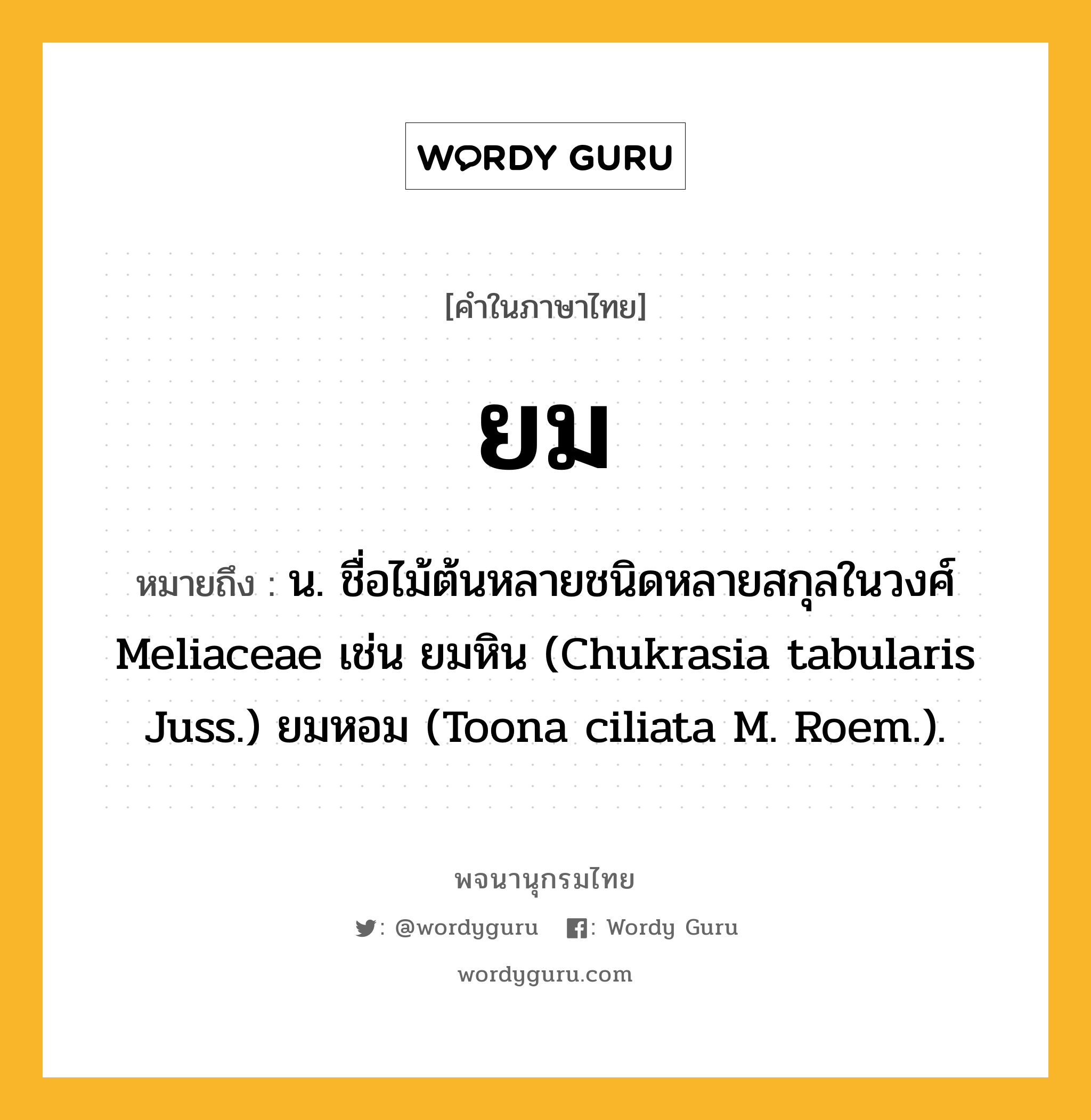 ยม หมายถึงอะไร?, คำในภาษาไทย ยม หมายถึง น. ชื่อไม้ต้นหลายชนิดหลายสกุลในวงศ์ Meliaceae เช่น ยมหิน (Chukrasia tabularis Juss.) ยมหอม (Toona ciliata M. Roem.).