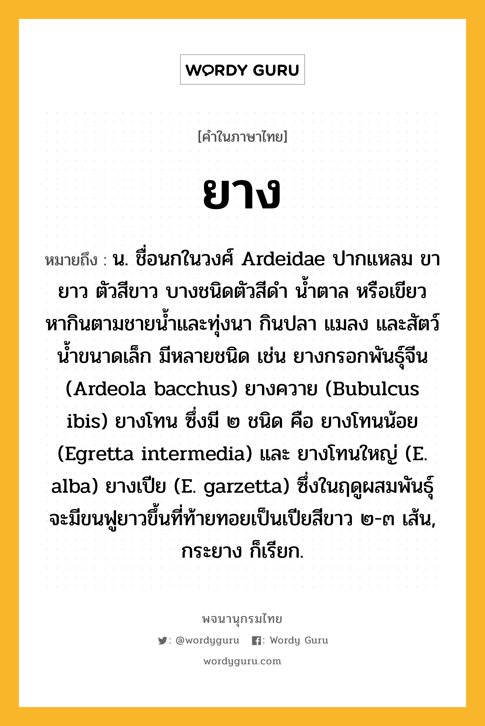 ยาง หมายถึงอะไร?, คำในภาษาไทย ยาง หมายถึง น. ชื่อนกในวงศ์ Ardeidae ปากแหลม ขายาว ตัวสีขาว บางชนิดตัวสีดํา นํ้าตาล หรือเขียว หากินตามชายนํ้าและทุ่งนา กินปลา แมลง และสัตว์นํ้าขนาดเล็ก มีหลายชนิด เช่น ยางกรอกพันธุ์จีน (Ardeola bacchus) ยางควาย (Bubulcus ibis) ยางโทน ซึ่งมี ๒ ชนิด คือ ยางโทนน้อย (Egretta intermedia) และ ยางโทนใหญ่ (E. alba) ยางเปีย (E. garzetta) ซึ่งในฤดูผสมพันธุ์จะมีขนฟูยาวขึ้นที่ท้ายทอยเป็นเปียสีขาว ๒-๓ เส้น, กระยาง ก็เรียก.