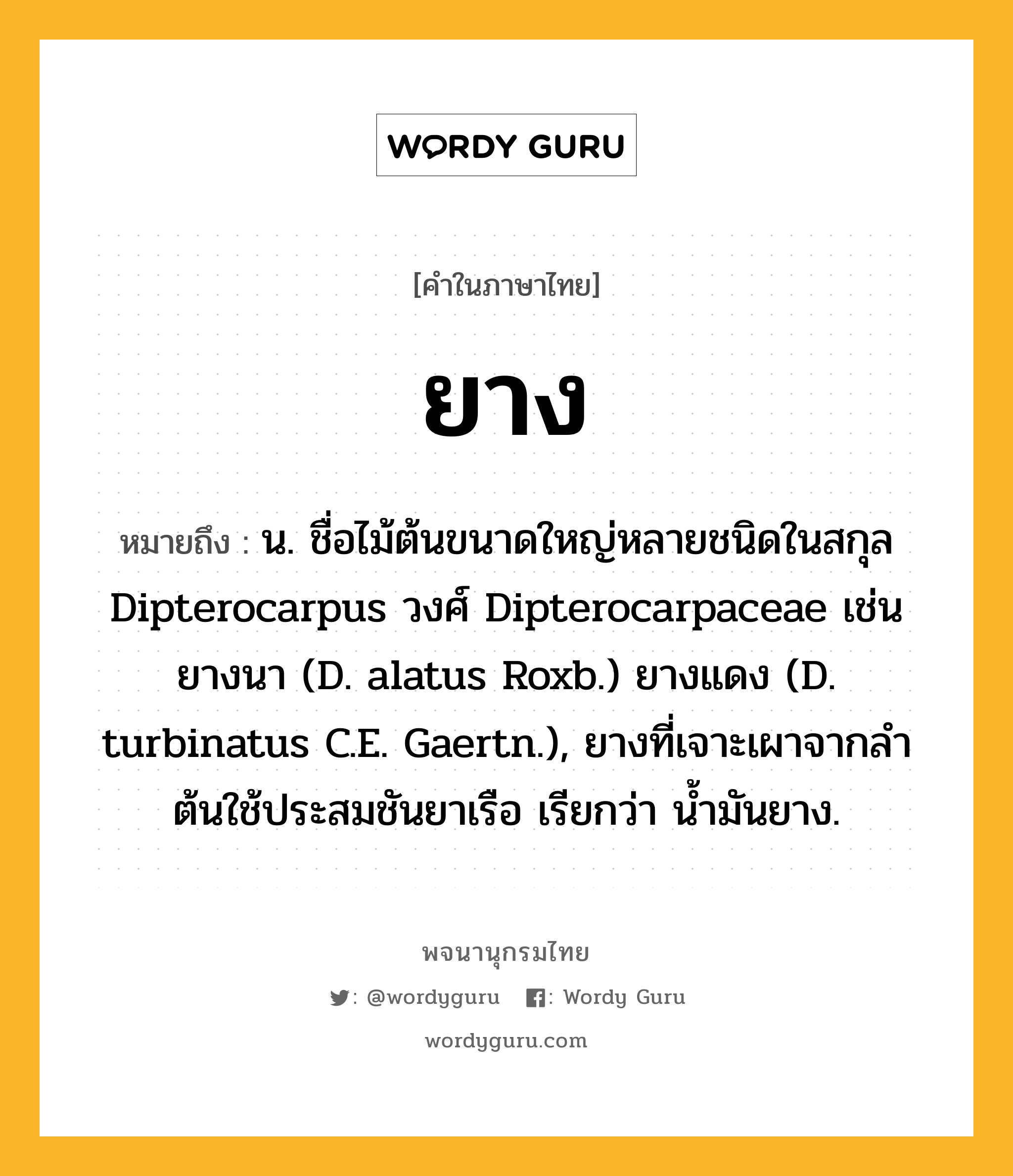 ยาง หมายถึงอะไร?, คำในภาษาไทย ยาง หมายถึง น. ชื่อไม้ต้นขนาดใหญ่หลายชนิดในสกุล Dipterocarpus วงศ์ Dipterocarpaceae เช่น ยางนา (D. alatus Roxb.) ยางแดง (D. turbinatus C.E. Gaertn.), ยางที่เจาะเผาจากลําต้นใช้ประสมชันยาเรือ เรียกว่า นํ้ามันยาง.