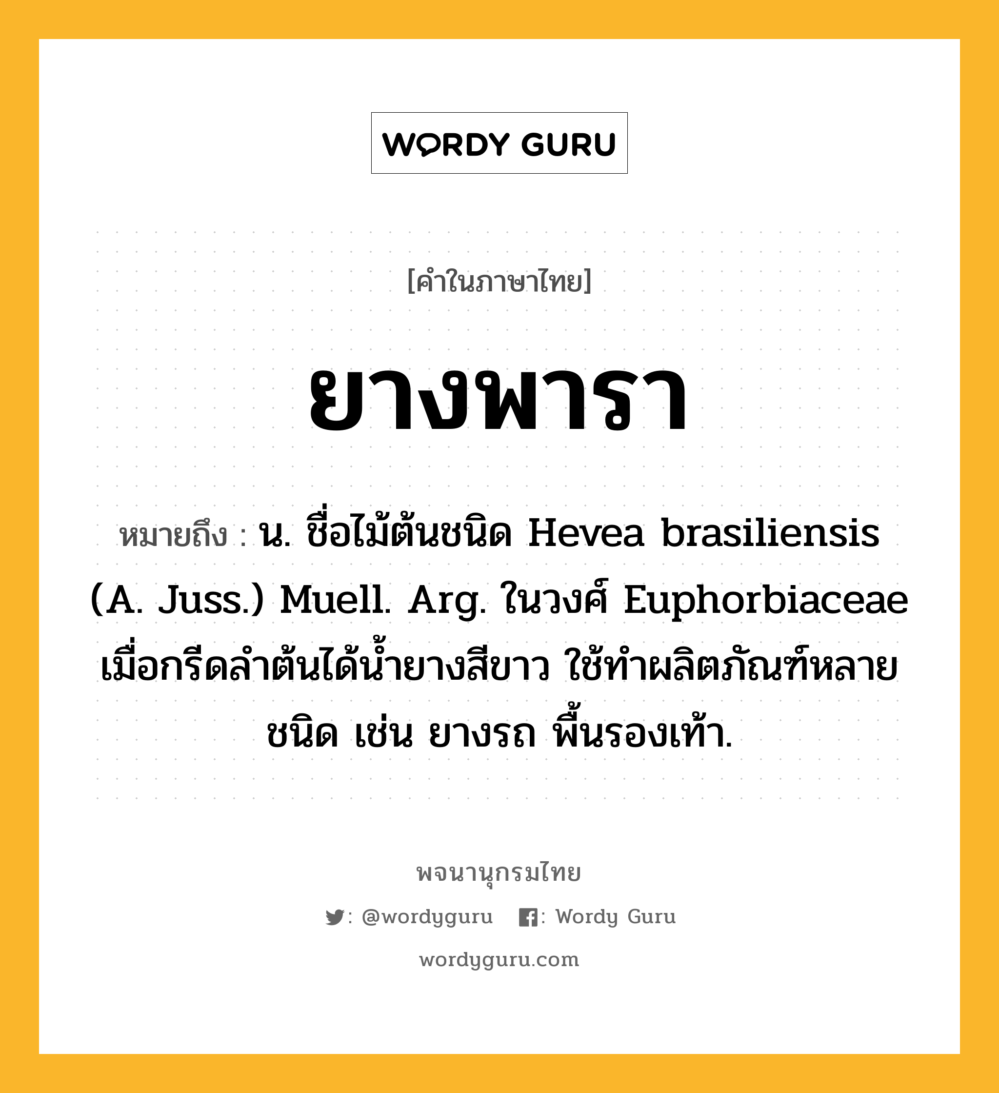 ยางพารา หมายถึงอะไร?, คำในภาษาไทย ยางพารา หมายถึง น. ชื่อไม้ต้นชนิด Hevea brasiliensis (A. Juss.) Muell. Arg. ในวงศ์ Euphorbiaceae เมื่อกรีดลําต้นได้นํ้ายางสีขาว ใช้ทําผลิตภัณฑ์หลายชนิด เช่น ยางรถ พื้นรองเท้า.