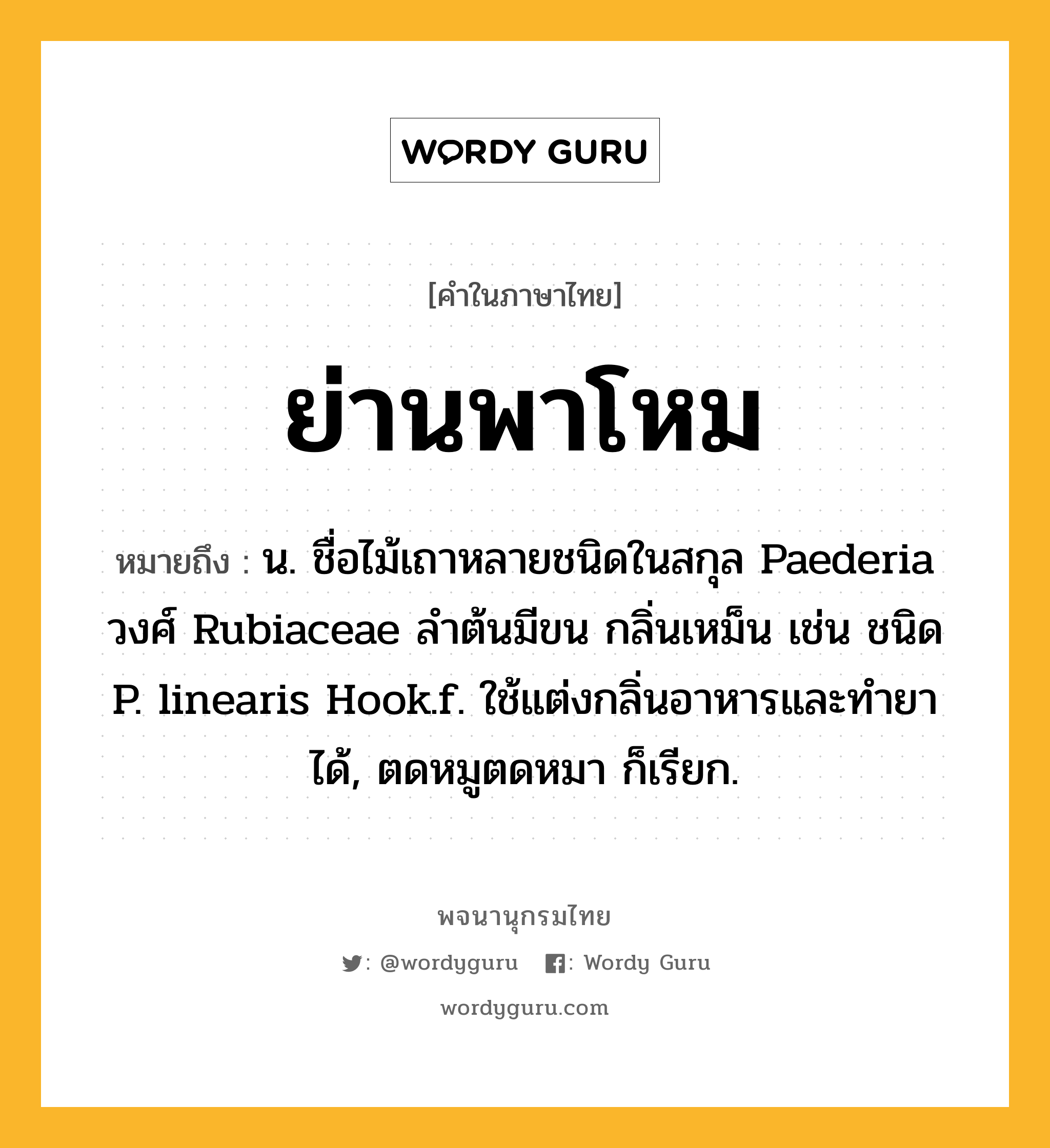 ย่านพาโหม หมายถึงอะไร?, คำในภาษาไทย ย่านพาโหม หมายถึง น. ชื่อไม้เถาหลายชนิดในสกุล Paederia วงศ์ Rubiaceae ลำต้นมีขน กลิ่นเหม็น เช่น ชนิด P. linearis Hook.f. ใช้แต่งกลิ่นอาหารและทำยาได้, ตดหมูตดหมา ก็เรียก.