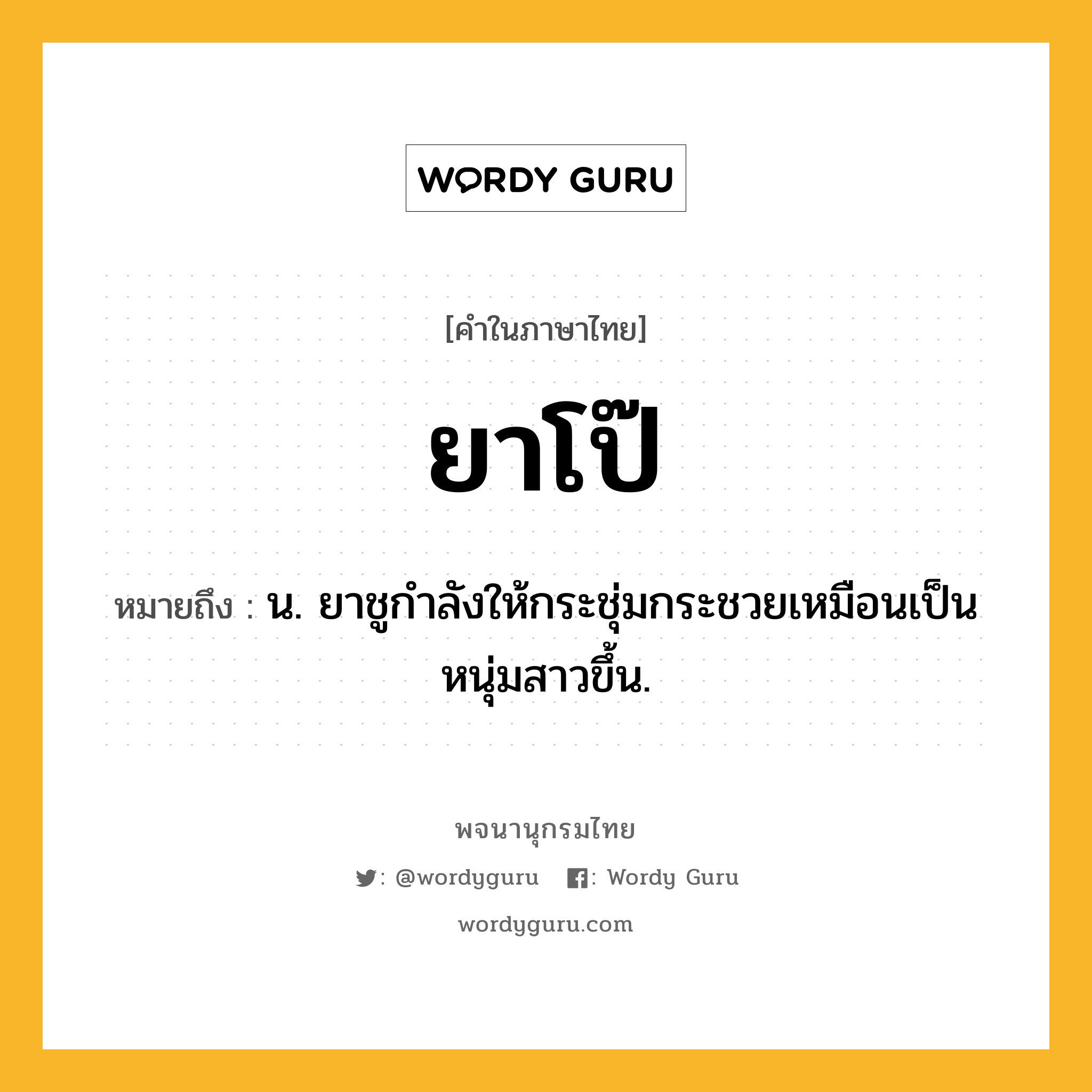 ยาโป๊ หมายถึงอะไร?, คำในภาษาไทย ยาโป๊ หมายถึง น. ยาชูกำลังให้กระชุ่มกระชวยเหมือนเป็นหนุ่มสาวขึ้น.