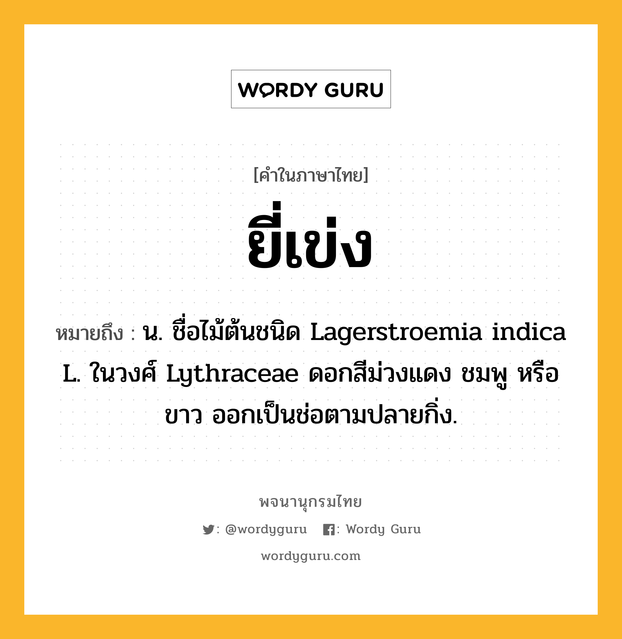 ยี่เข่ง หมายถึงอะไร?, คำในภาษาไทย ยี่เข่ง หมายถึง น. ชื่อไม้ต้นชนิด Lagerstroemia indica L. ในวงศ์ Lythraceae ดอกสีม่วงแดง ชมพู หรือขาว ออกเป็นช่อตามปลายกิ่ง.