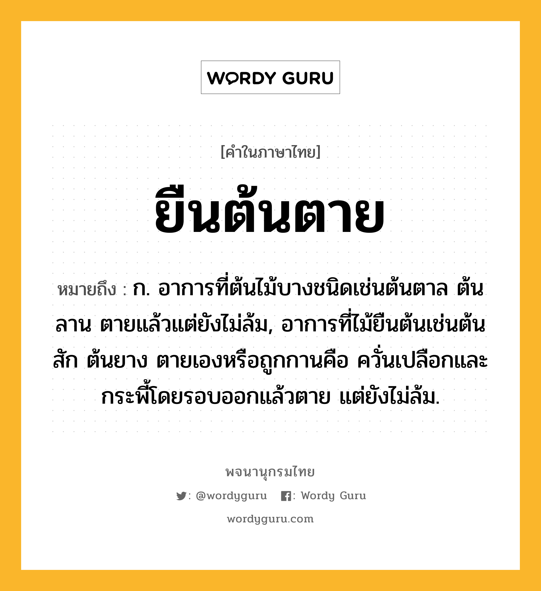 ยืนต้นตาย ความหมาย หมายถึงอะไร?, คำในภาษาไทย ยืนต้นตาย หมายถึง ก. อาการที่ต้นไม้บางชนิดเช่นต้นตาล ต้นลาน ตายแล้วแต่ยังไม่ล้ม, อาการที่ไม้ยืนต้นเช่นต้นสัก ต้นยาง ตายเองหรือถูกกานคือ ควั่นเปลือกและกระพี้โดยรอบออกแล้วตาย แต่ยังไม่ล้ม.