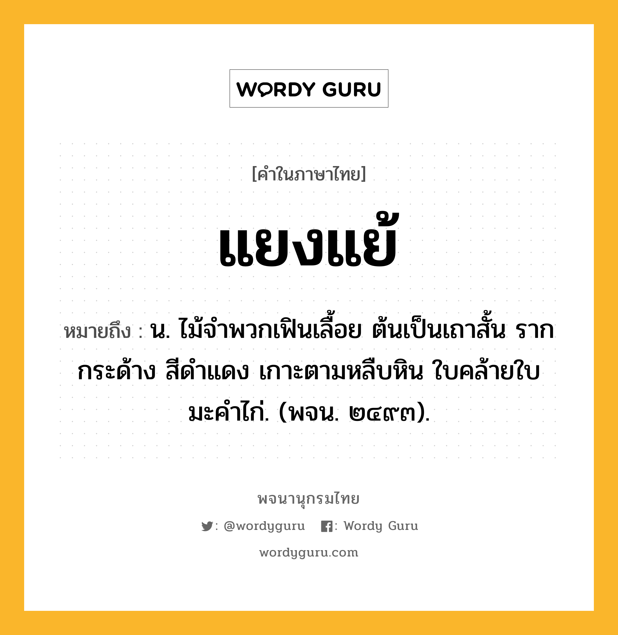 แยงแย้ หมายถึงอะไร?, คำในภาษาไทย แยงแย้ หมายถึง น. ไม้จําพวกเฟินเลื้อย ต้นเป็นเถาสั้น รากกระด้าง สีดําแดง เกาะตามหลืบหิน ใบคล้ายใบมะคําไก่. (พจน. ๒๔๙๓).