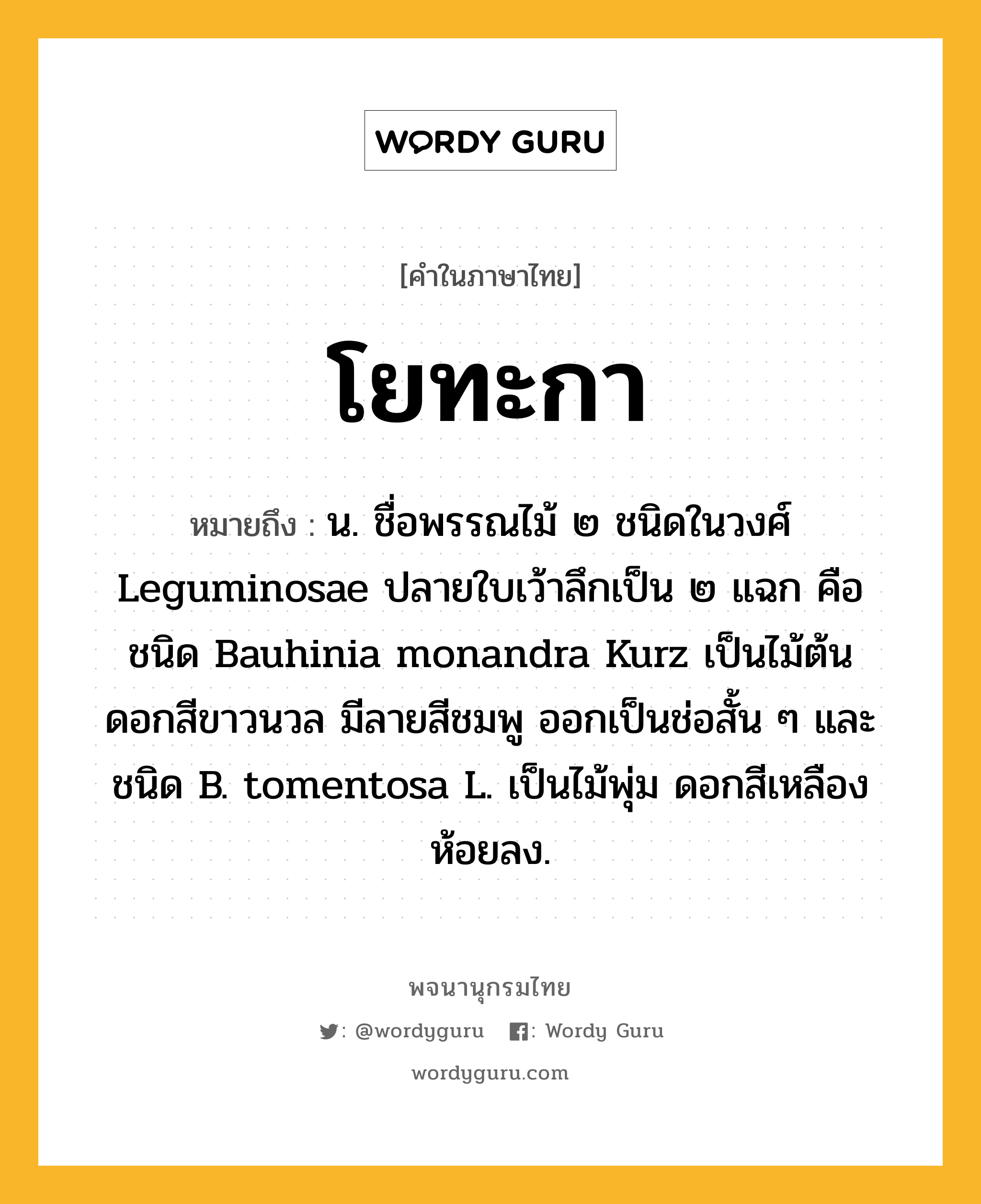 โยทะกา ความหมาย หมายถึงอะไร?, คำในภาษาไทย โยทะกา หมายถึง น. ชื่อพรรณไม้ ๒ ชนิดในวงศ์ Leguminosae ปลายใบเว้าลึกเป็น ๒ แฉก คือ ชนิด Bauhinia monandra Kurz เป็นไม้ต้น ดอกสีขาวนวล มีลายสีชมพู ออกเป็นช่อสั้น ๆ และชนิด B. tomentosa L. เป็นไม้พุ่ม ดอกสีเหลือง ห้อยลง.