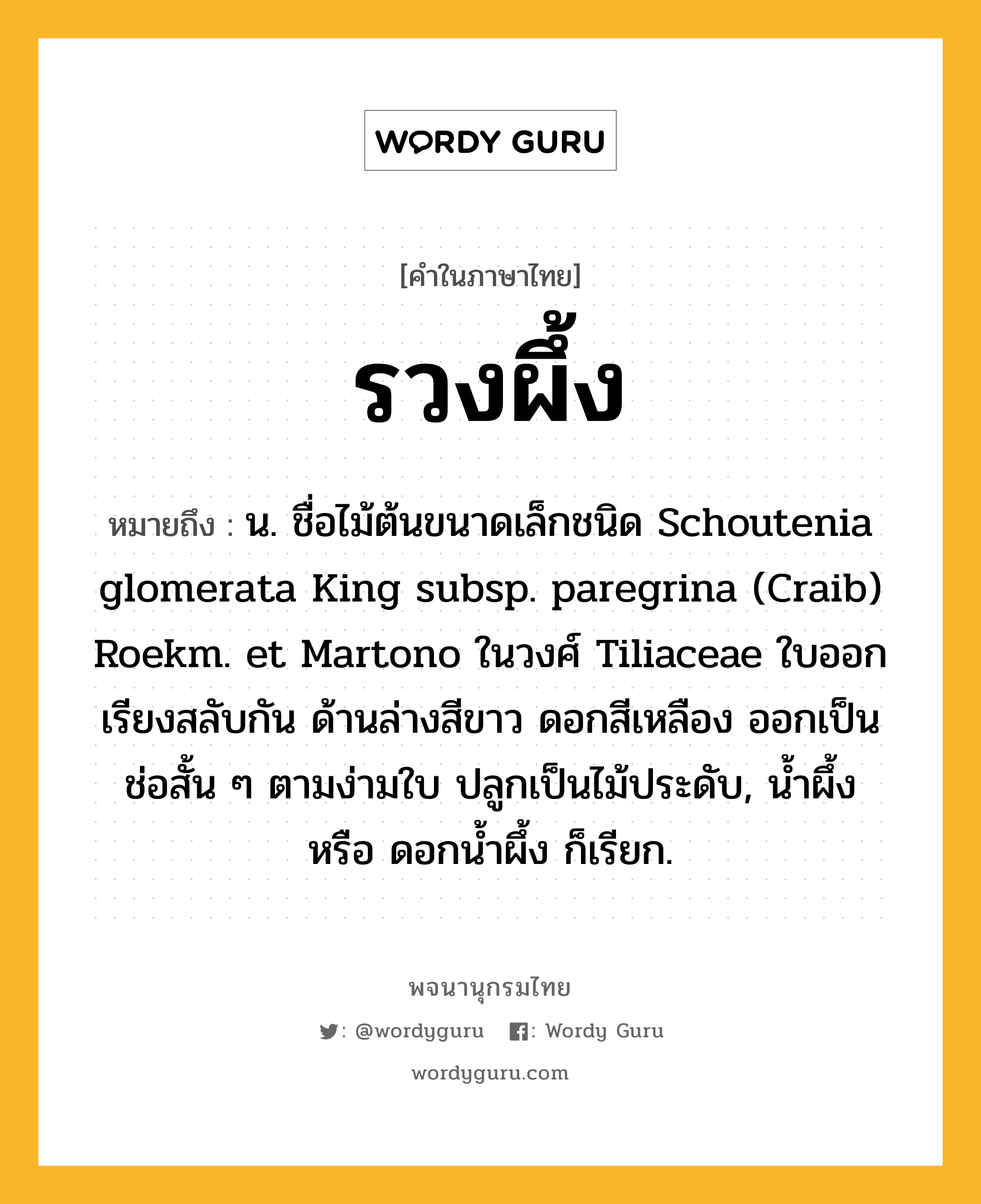 รวงผึ้ง ความหมาย หมายถึงอะไร?, คำในภาษาไทย รวงผึ้ง หมายถึง น. ชื่อไม้ต้นขนาดเล็กชนิด Schoutenia glomerata King subsp. paregrina (Craib) Roekm. et Martono ในวงศ์ Tiliaceae ใบออกเรียงสลับกัน ด้านล่างสีขาว ดอกสีเหลือง ออกเป็นช่อสั้น ๆ ตามง่ามใบ ปลูกเป็นไม้ประดับ, นํ้าผึ้ง หรือ ดอกนํ้าผึ้ง ก็เรียก.