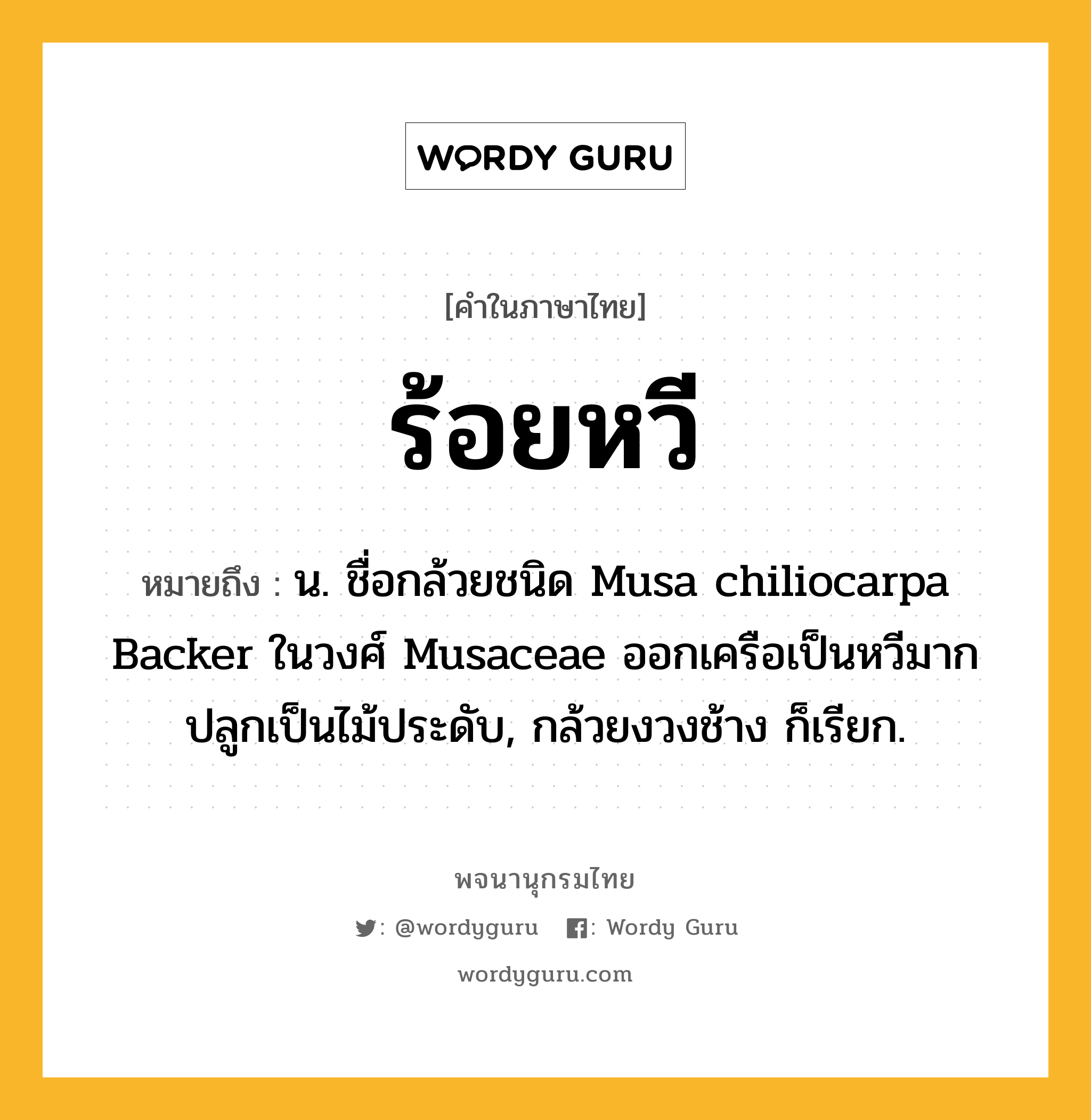 ร้อยหวี หมายถึงอะไร?, คำในภาษาไทย ร้อยหวี หมายถึง น. ชื่อกล้วยชนิด Musa chiliocarpa Backer ในวงศ์ Musaceae ออกเครือเป็นหวีมาก ปลูกเป็นไม้ประดับ, กล้วยงวงช้าง ก็เรียก.