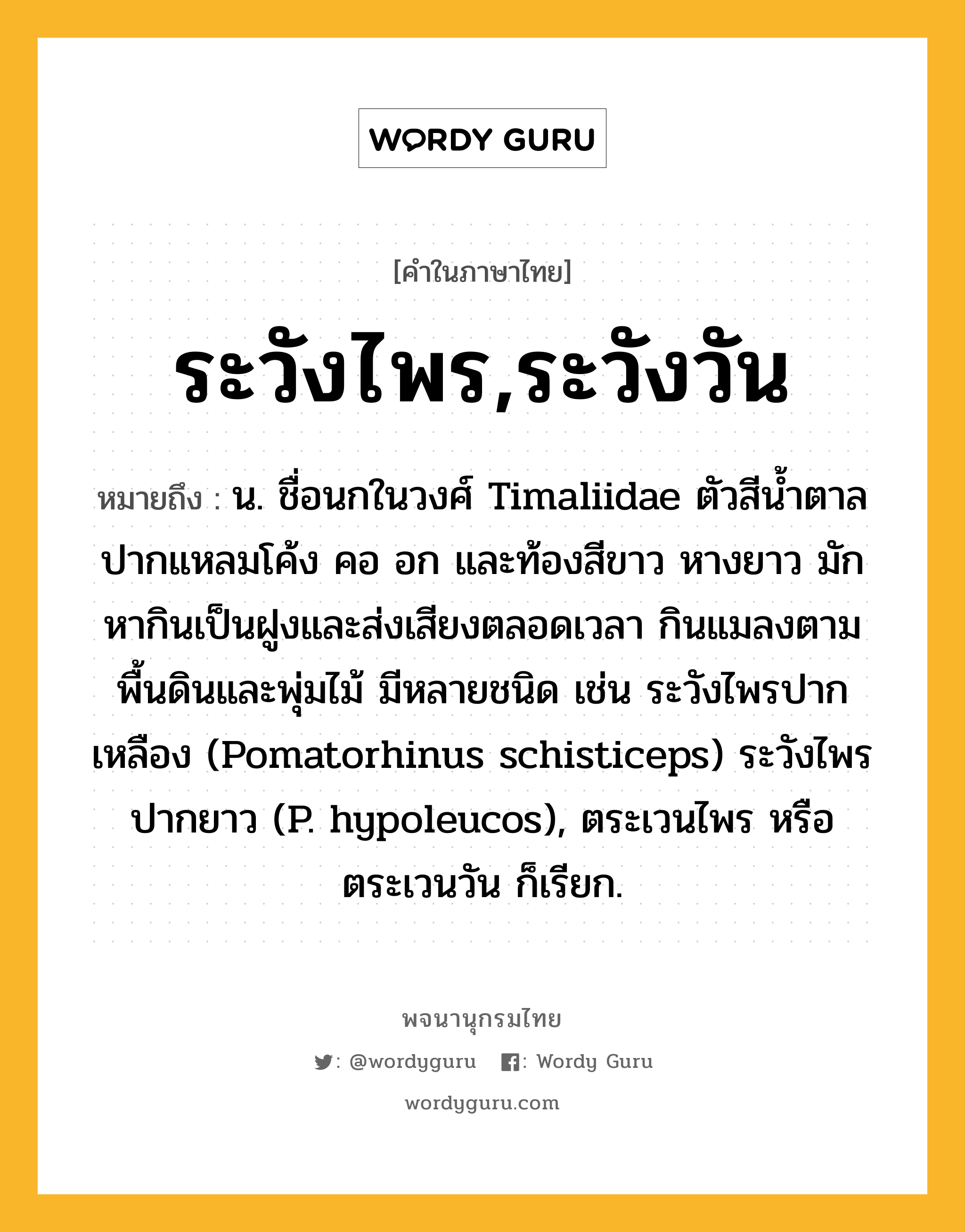 ระวังไพร,ระวังวัน หมายถึงอะไร?, คำในภาษาไทย ระวังไพร,ระวังวัน หมายถึง น. ชื่อนกในวงศ์ Timaliidae ตัวสีนํ้าตาล ปากแหลมโค้ง คอ อก และท้องสีขาว หางยาว มักหากินเป็นฝูงและส่งเสียงตลอดเวลา กินแมลงตามพื้นดินและพุ่มไม้ มีหลายชนิด เช่น ระวังไพรปากเหลือง (Pomatorhinus schisticeps) ระวังไพรปากยาว (P. hypoleucos), ตระเวนไพร หรือ ตระเวนวัน ก็เรียก.