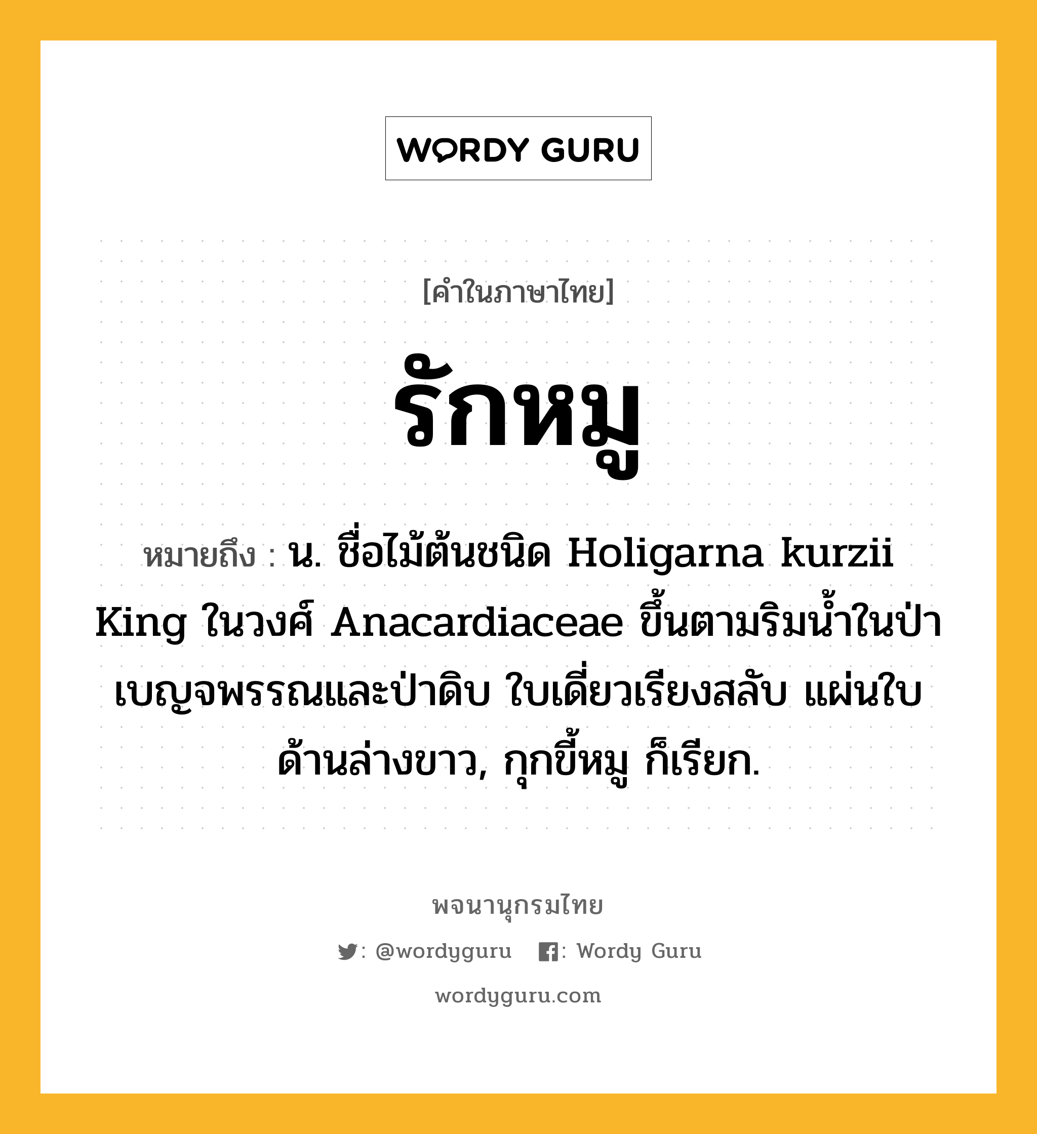 รักหมู หมายถึงอะไร?, คำในภาษาไทย รักหมู หมายถึง น. ชื่อไม้ต้นชนิด Holigarna kurzii King ในวงศ์ Anacardiaceae ขึ้นตามริมนํ้าในป่าเบญจพรรณและป่าดิบ ใบเดี่ยวเรียงสลับ แผ่นใบด้านล่างขาว, กุกขี้หมู ก็เรียก.