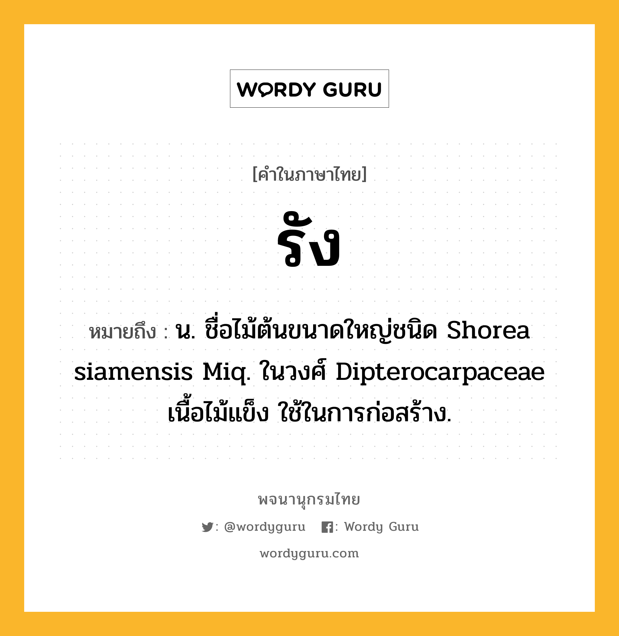 รัง หมายถึงอะไร?, คำในภาษาไทย รัง หมายถึง น. ชื่อไม้ต้นขนาดใหญ่ชนิด Shorea siamensis Miq. ในวงศ์ Dipterocarpaceae เนื้อไม้แข็ง ใช้ในการก่อสร้าง.