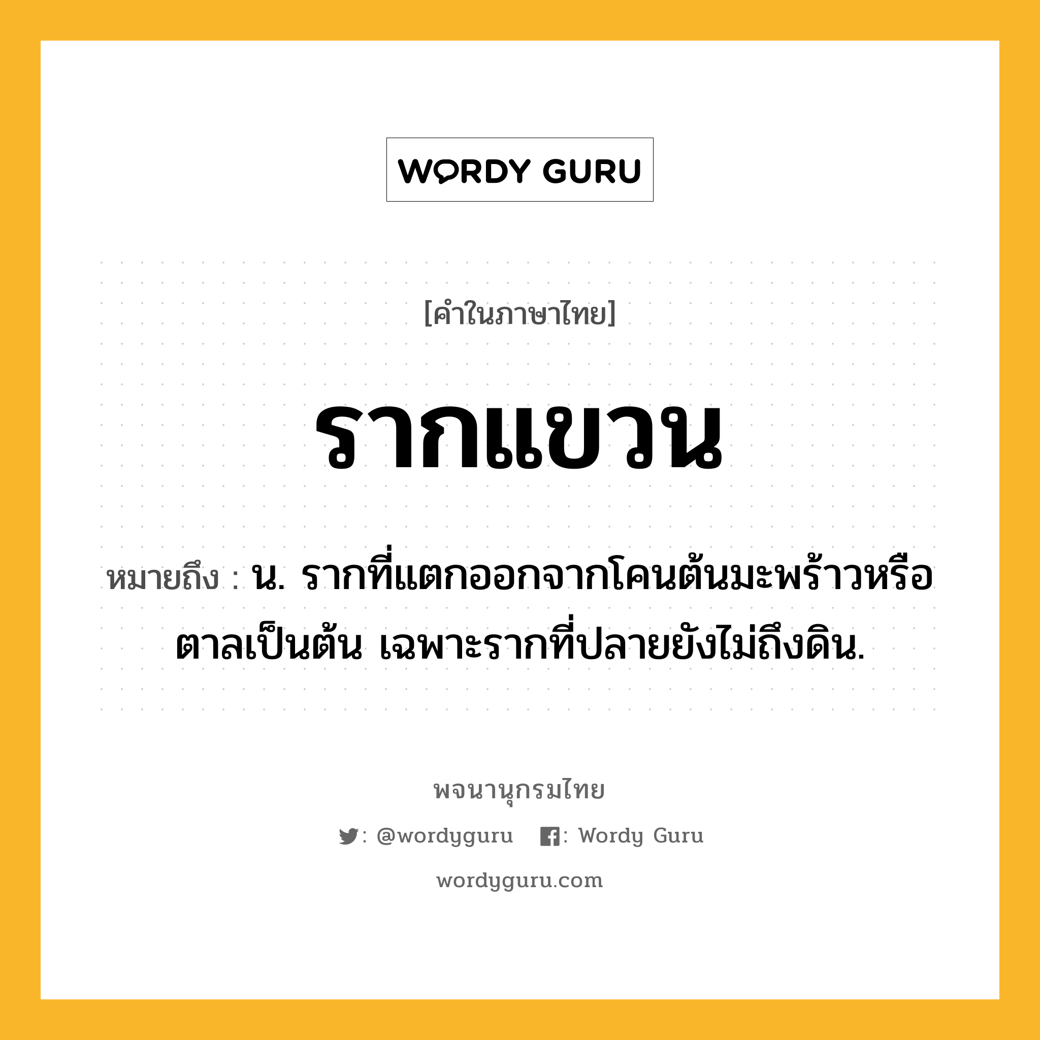 รากแขวน หมายถึงอะไร?, คำในภาษาไทย รากแขวน หมายถึง น. รากที่แตกออกจากโคนต้นมะพร้าวหรือตาลเป็นต้น เฉพาะรากที่ปลายยังไม่ถึงดิน.