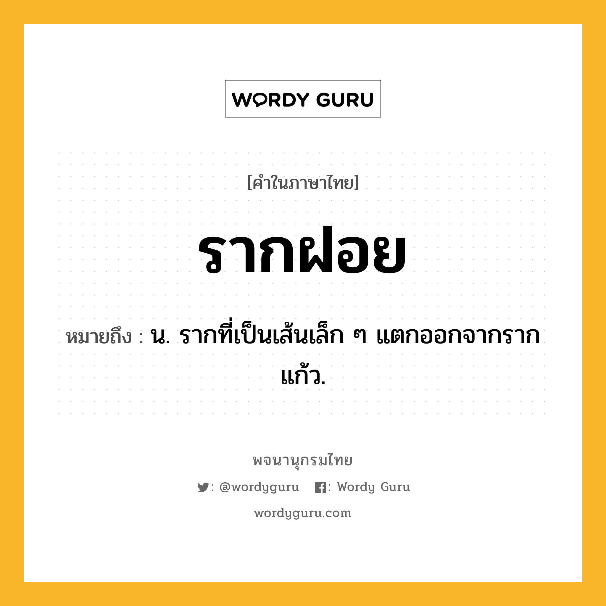 รากฝอย หมายถึงอะไร?, คำในภาษาไทย รากฝอย หมายถึง น. รากที่เป็นเส้นเล็ก ๆ แตกออกจากรากแก้ว.