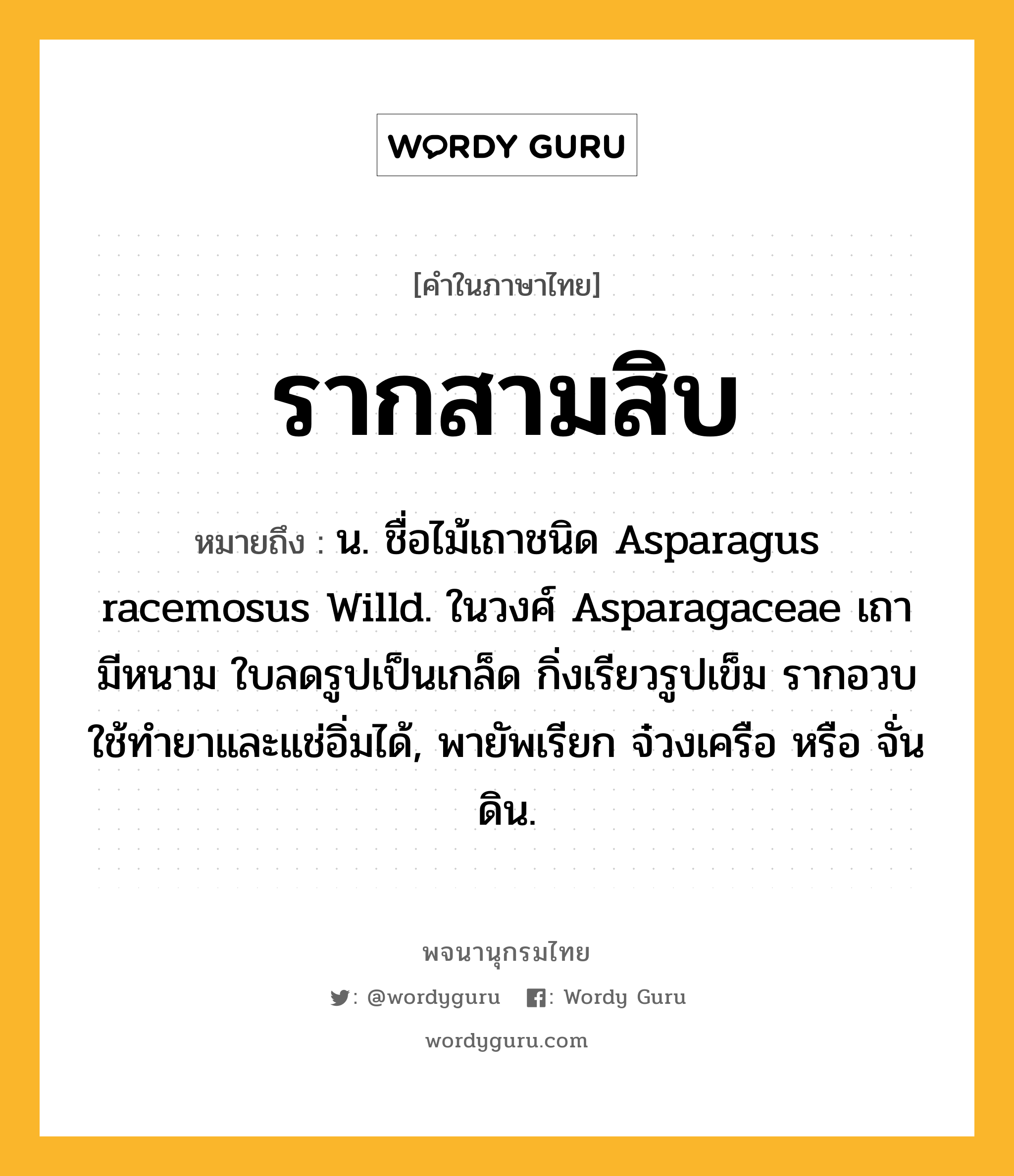 รากสามสิบ หมายถึงอะไร?, คำในภาษาไทย รากสามสิบ หมายถึง น. ชื่อไม้เถาชนิด Asparagus racemosus Willd. ในวงศ์ Asparagaceae เถามีหนาม ใบลดรูปเป็นเกล็ด กิ่งเรียวรูปเข็ม รากอวบใช้ทํายาและแช่อิ่มได้, พายัพเรียก จ๋วงเครือ หรือ จั่นดิน.