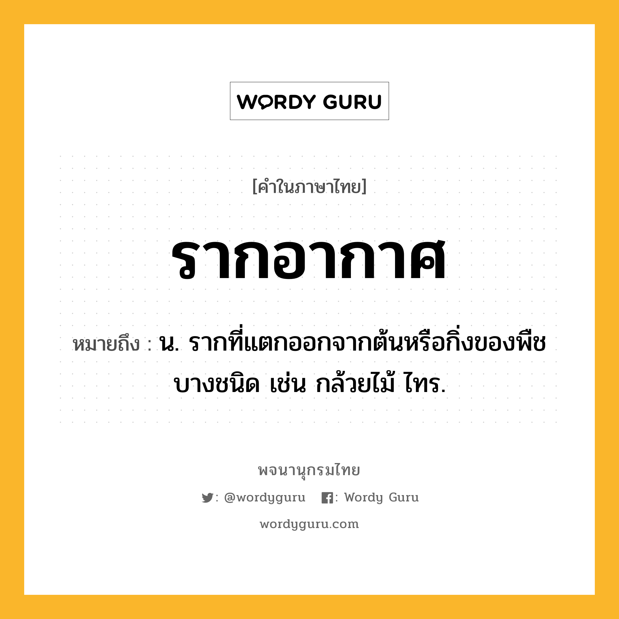 รากอากาศ หมายถึงอะไร?, คำในภาษาไทย รากอากาศ หมายถึง น. รากที่แตกออกจากต้นหรือกิ่งของพืชบางชนิด เช่น กล้วยไม้ ไทร.