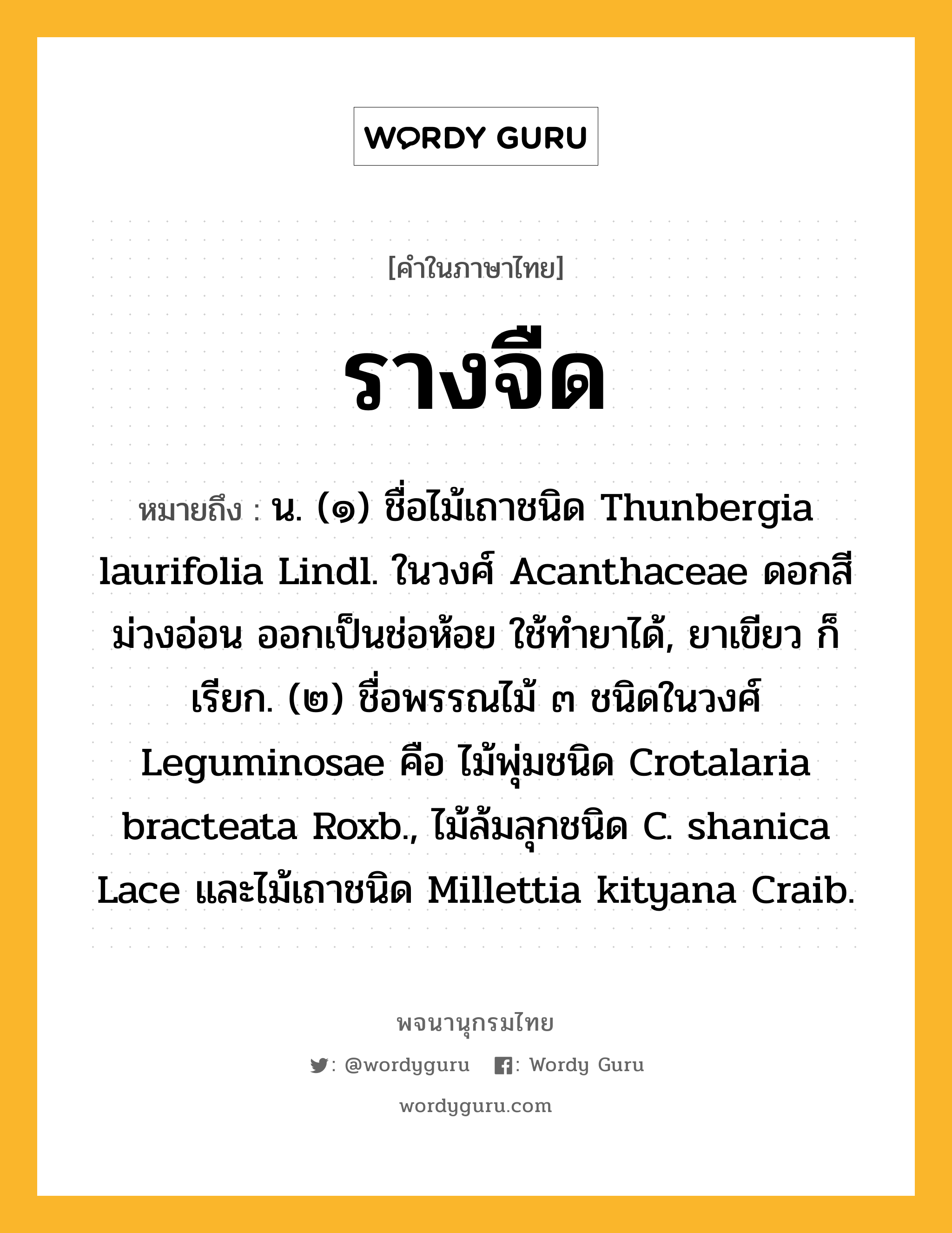 รางจืด หมายถึงอะไร?, คำในภาษาไทย รางจืด หมายถึง น. (๑) ชื่อไม้เถาชนิด Thunbergia laurifolia Lindl. ในวงศ์ Acanthaceae ดอกสีม่วงอ่อน ออกเป็นช่อห้อย ใช้ทํายาได้, ยาเขียว ก็เรียก. (๒) ชื่อพรรณไม้ ๓ ชนิดในวงศ์ Leguminosae คือ ไม้พุ่มชนิด Crotalaria bracteata Roxb., ไม้ล้มลุกชนิด C. shanica Lace และไม้เถาชนิด Millettia kityana Craib.