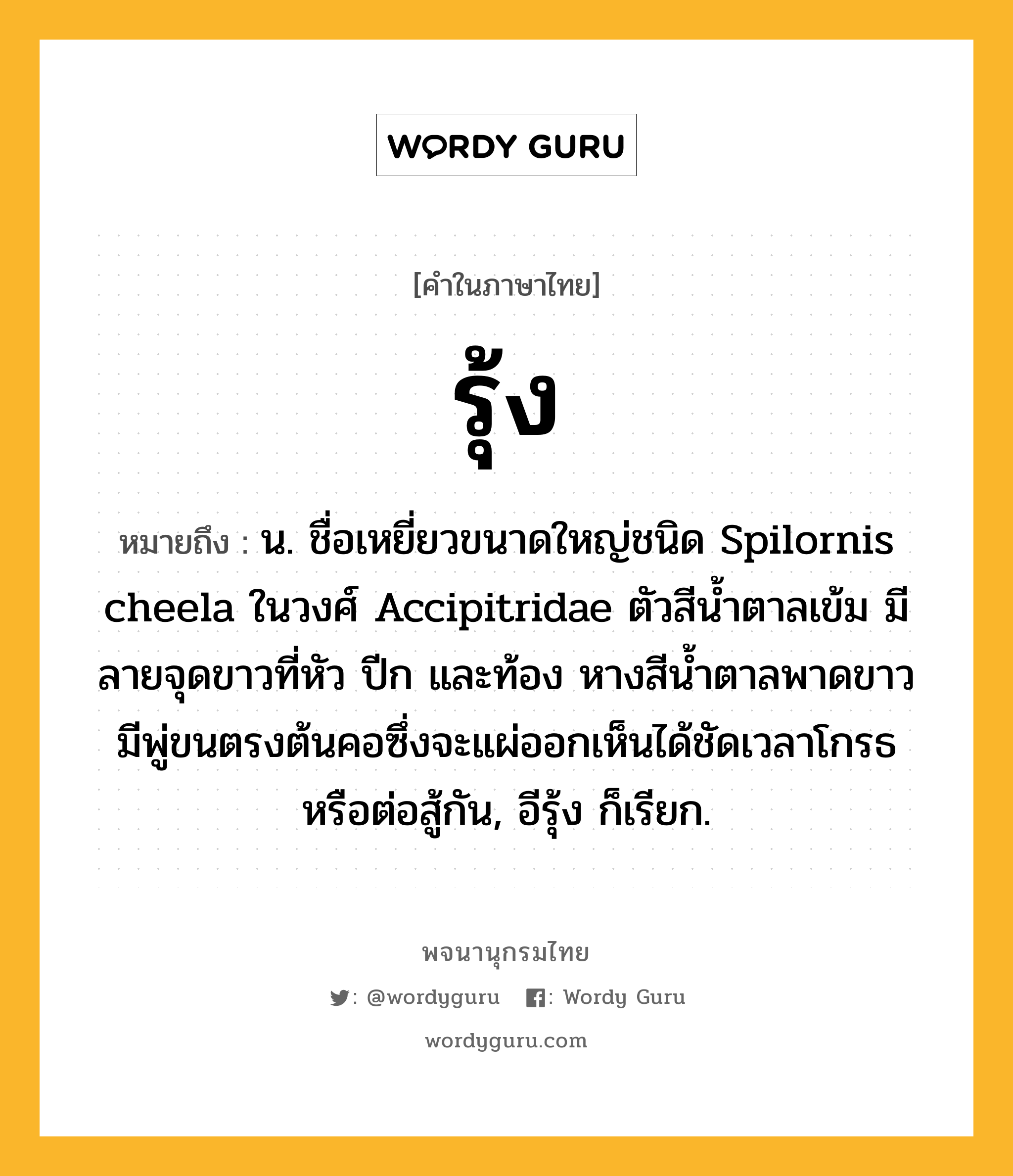 รุ้ง หมายถึงอะไร?, คำในภาษาไทย รุ้ง หมายถึง น. ชื่อเหยี่ยวขนาดใหญ่ชนิด Spilornis cheela ในวงศ์ Accipitridae ตัวสีนํ้าตาลเข้ม มีลายจุดขาวที่หัว ปีก และท้อง หางสีนํ้าตาลพาดขาว มีพู่ขนตรงต้นคอซึ่งจะแผ่ออกเห็นได้ชัดเวลาโกรธหรือต่อสู้กัน, อีรุ้ง ก็เรียก.