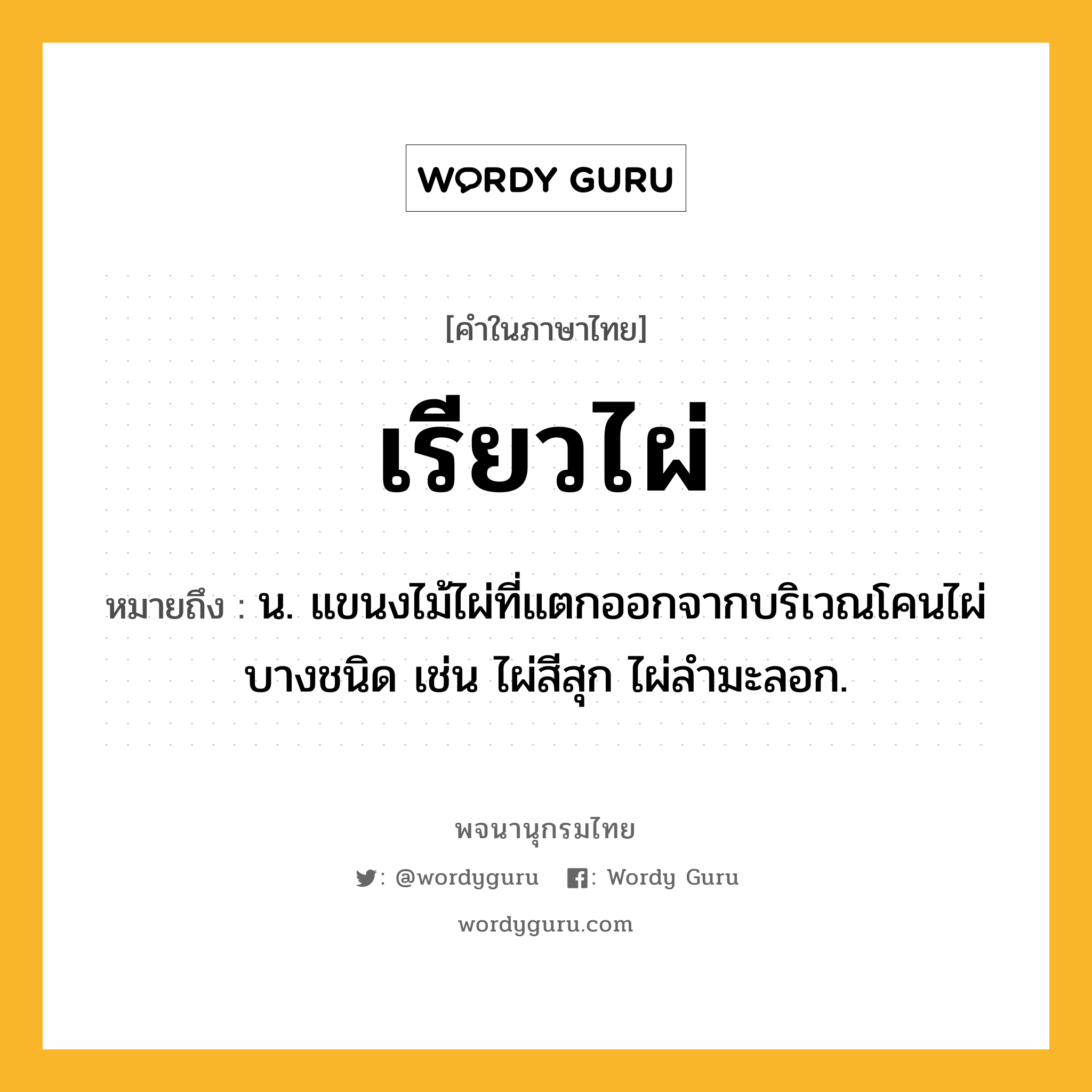 เรียวไผ่ หมายถึงอะไร?, คำในภาษาไทย เรียวไผ่ หมายถึง น. แขนงไม้ไผ่ที่แตกออกจากบริเวณโคนไผ่บางชนิด เช่น ไผ่สีสุก ไผ่ลำมะลอก.