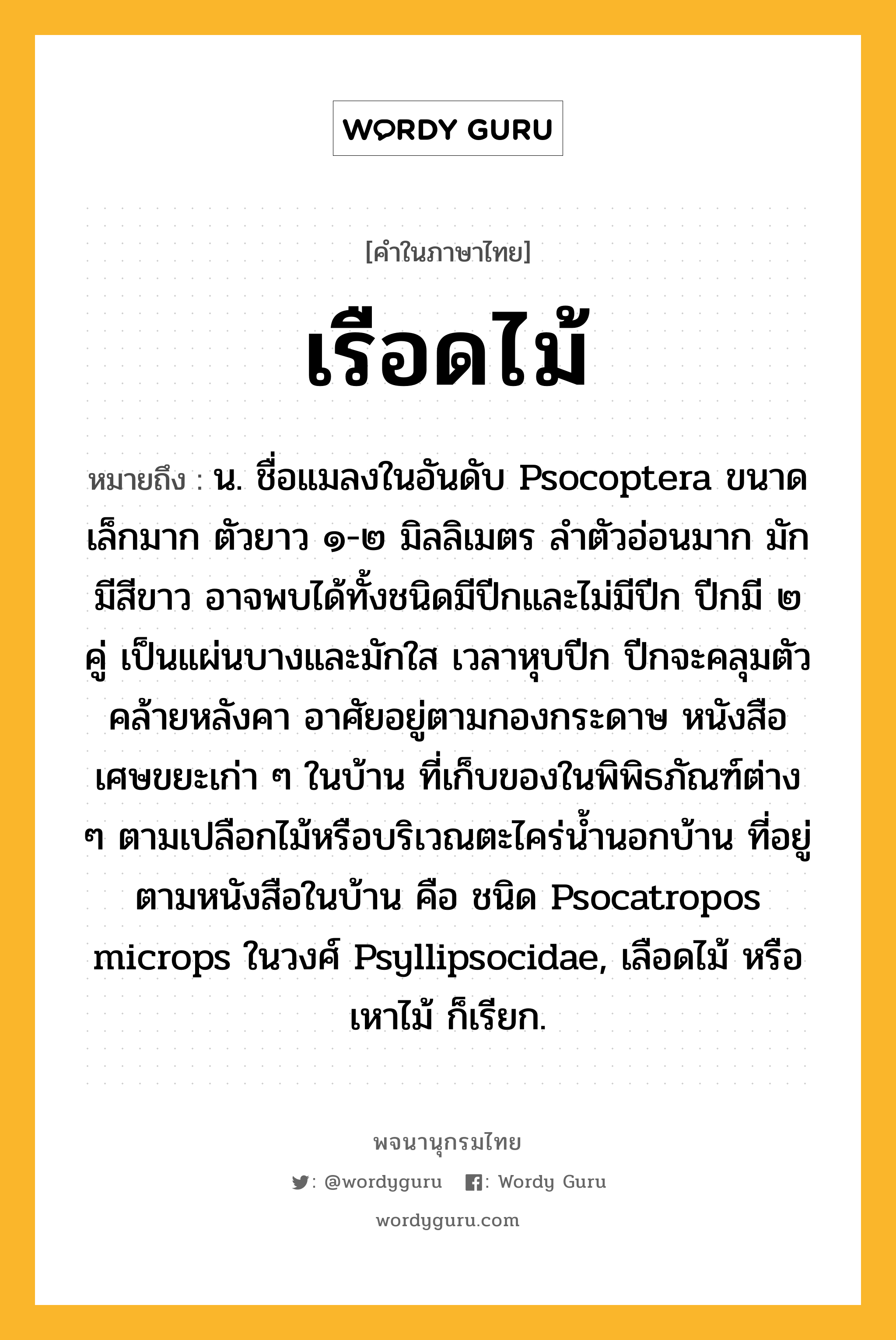 เรือดไม้ หมายถึงอะไร?, คำในภาษาไทย เรือดไม้ หมายถึง น. ชื่อแมลงในอันดับ Psocoptera ขนาดเล็กมาก ตัวยาว ๑-๒ มิลลิเมตร ลําตัวอ่อนมาก มักมีสีขาว อาจพบได้ทั้งชนิดมีปีกและไม่มีปีก ปีกมี ๒ คู่ เป็นแผ่นบางและมักใส เวลาหุบปีก ปีกจะคลุมตัวคล้ายหลังคา อาศัยอยู่ตามกองกระดาษ หนังสือ เศษขยะเก่า ๆ ในบ้าน ที่เก็บของในพิพิธภัณฑ์ต่าง ๆ ตามเปลือกไม้หรือบริเวณตะไคร่นํ้านอกบ้าน ที่อยู่ตามหนังสือในบ้าน คือ ชนิด Psocatropos microps ในวงศ์ Psyllipsocidae, เลือดไม้ หรือ เหาไม้ ก็เรียก.