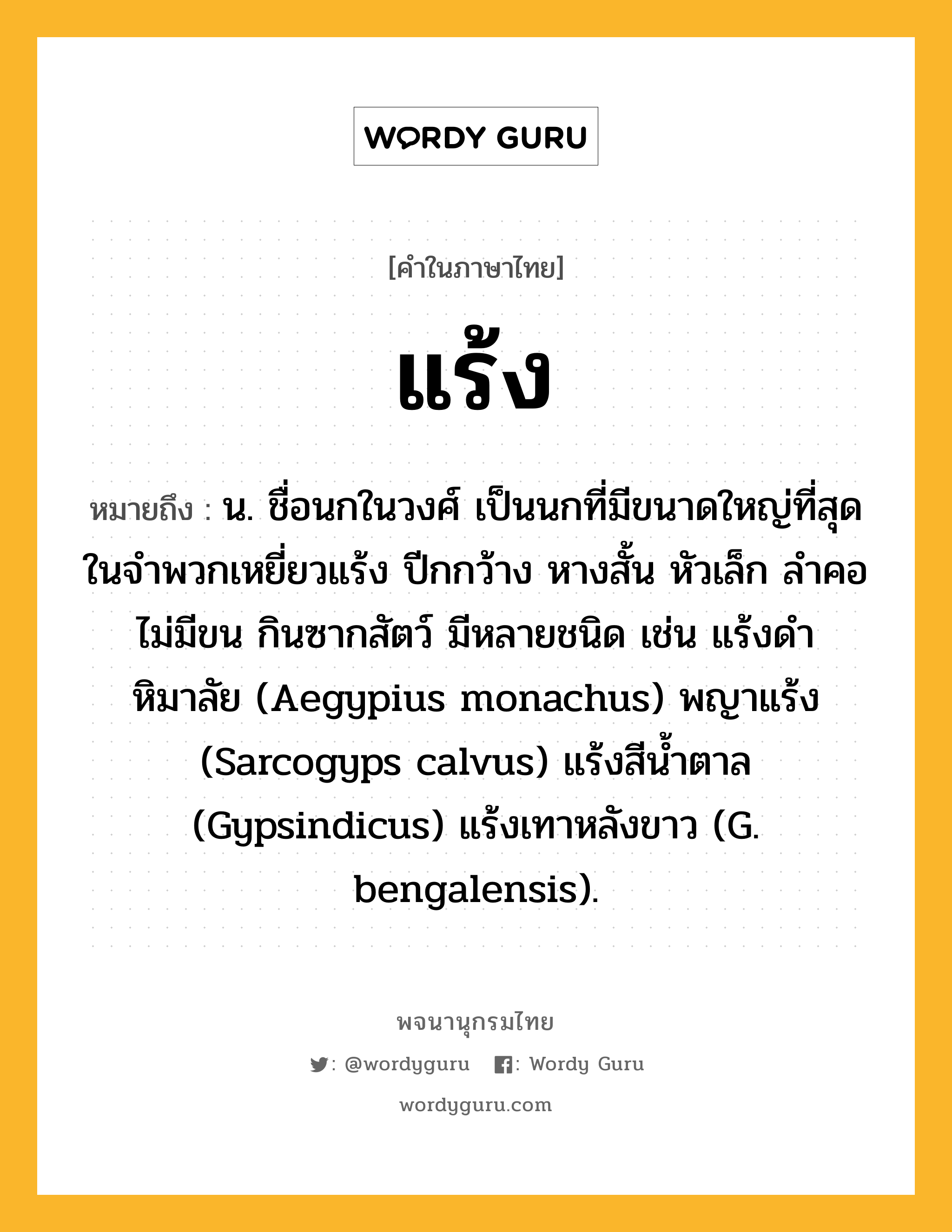 แร้ง หมายถึงอะไร?, คำในภาษาไทย แร้ง หมายถึง น. ชื่อนกในวงศ์ เป็นนกที่มีขนาดใหญ่ที่สุดในจําพวกเหยี่ยวแร้ง ปีกกว้าง หางสั้น หัวเล็ก ลําคอไม่มีขน กินซากสัตว์ มีหลายชนิด เช่น แร้งดําหิมาลัย (Aegypius monachus) พญาแร้ง (Sarcogyps calvus) แร้งสีนํ้าตาล (Gypsindicus) แร้งเทาหลังขาว (G. bengalensis).