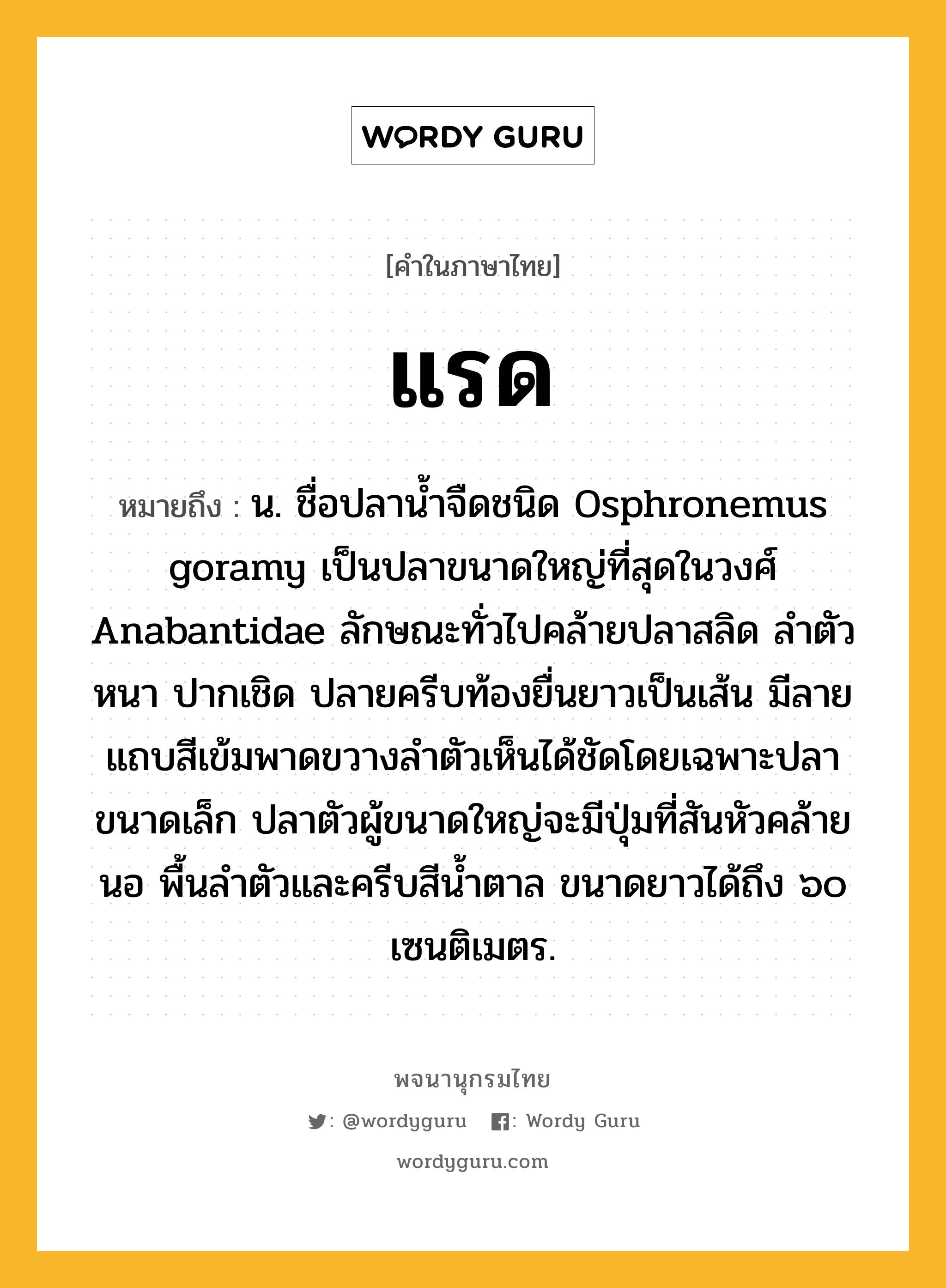 แรด ความหมาย หมายถึงอะไร?, คำในภาษาไทย แรด หมายถึง น. ชื่อปลานํ้าจืดชนิด Osphronemus goramy เป็นปลาขนาดใหญ่ที่สุดในวงศ์ Anabantidae ลักษณะทั่วไปคล้ายปลาสลิด ลําตัวหนา ปากเชิด ปลายครีบท้องยื่นยาวเป็นเส้น มีลายแถบสีเข้มพาดขวางลําตัวเห็นได้ชัดโดยเฉพาะปลาขนาดเล็ก ปลาตัวผู้ขนาดใหญ่จะมีปุ่มที่สันหัวคล้ายนอ พื้นลําตัวและครีบสีนํ้าตาล ขนาดยาวได้ถึง ๖๐ เซนติเมตร.