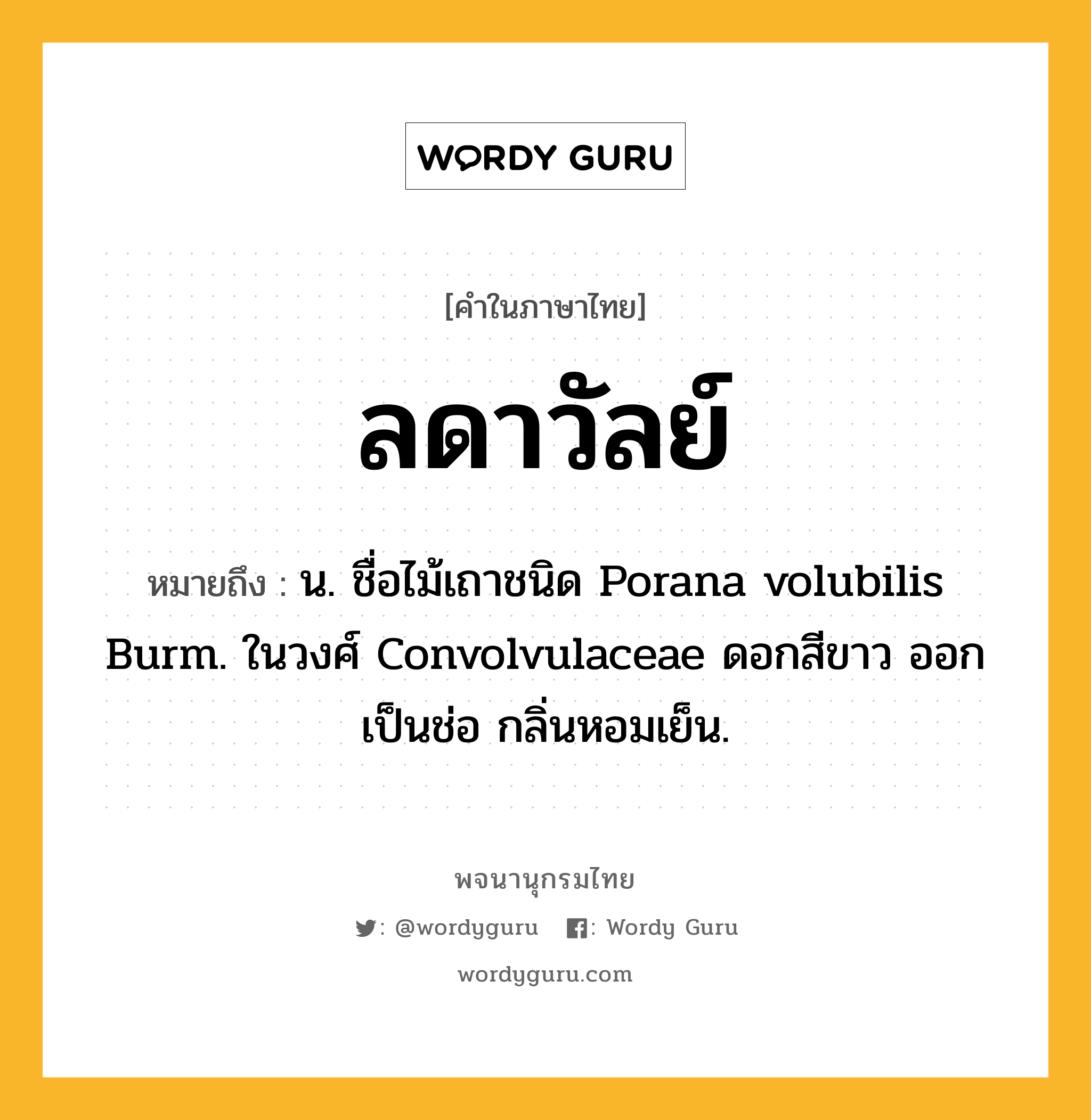 ลดาวัลย์ หมายถึงอะไร?, คำในภาษาไทย ลดาวัลย์ หมายถึง น. ชื่อไม้เถาชนิด Porana volubilis Burm. ในวงศ์ Convolvulaceae ดอกสีขาว ออกเป็นช่อ กลิ่นหอมเย็น.