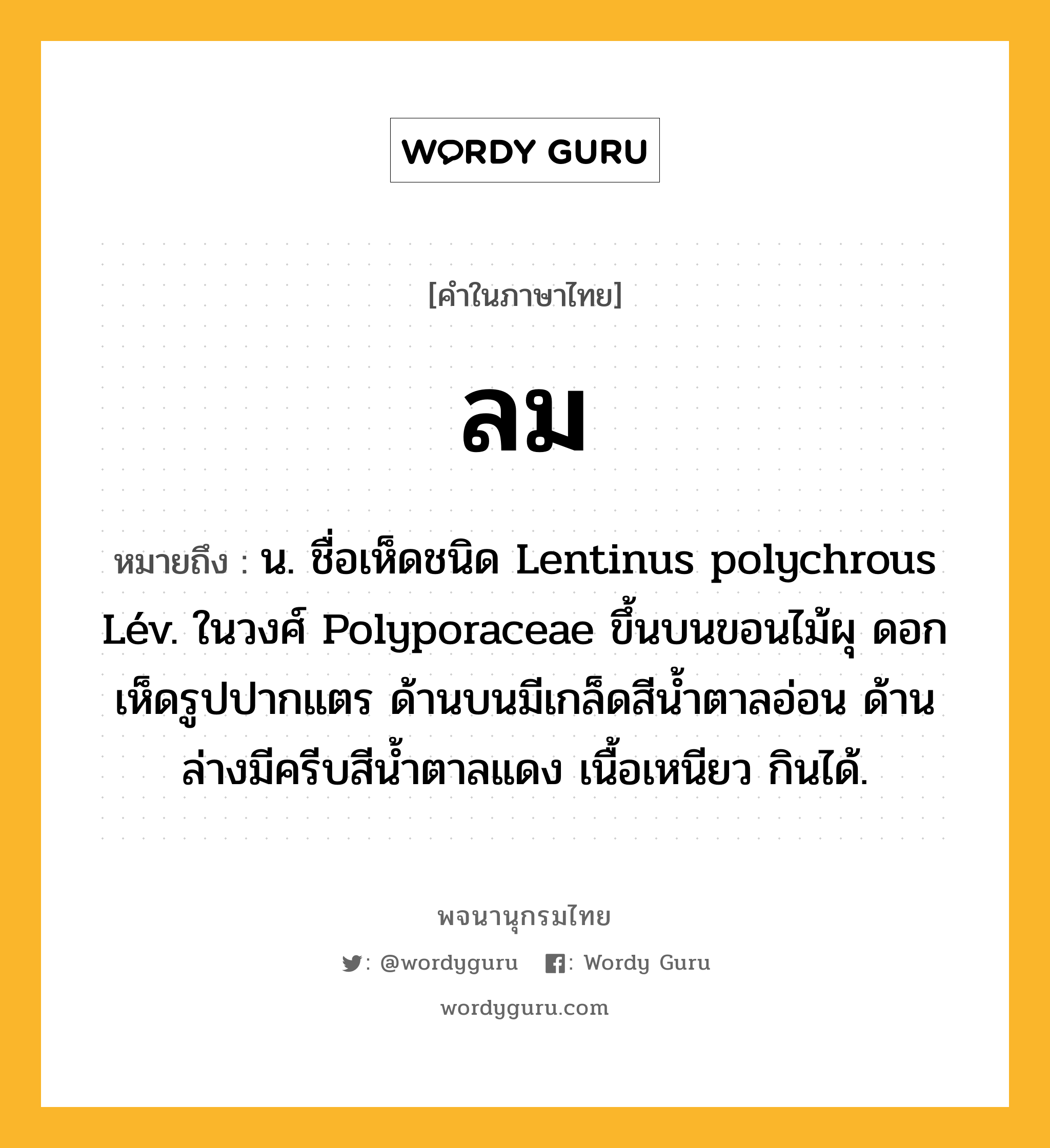 ลม หมายถึงอะไร?, คำในภาษาไทย ลม หมายถึง น. ชื่อเห็ดชนิด Lentinus polychrous Lév. ในวงศ์ Polyporaceae ขึ้นบนขอนไม้ผุ ดอกเห็ดรูปปากแตร ด้านบนมีเกล็ดสีนํ้าตาลอ่อน ด้านล่างมีครีบสีนํ้าตาลแดง เนื้อเหนียว กินได้.