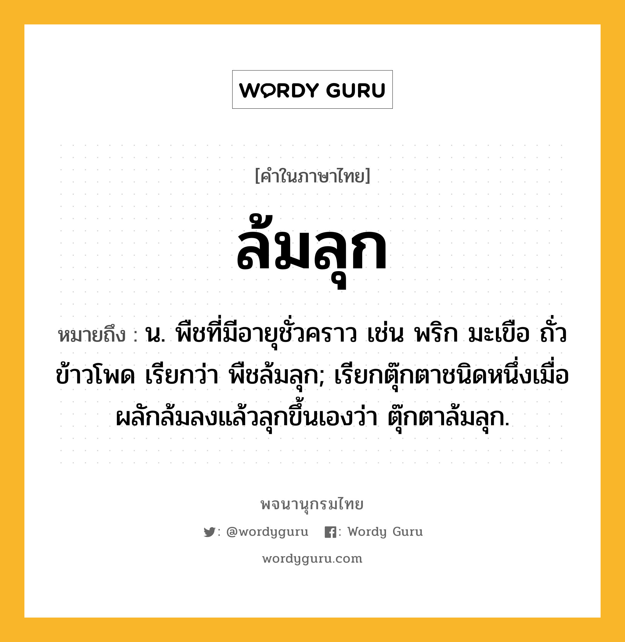 ล้มลุก หมายถึงอะไร?, คำในภาษาไทย ล้มลุก หมายถึง น. พืชที่มีอายุชั่วคราว เช่น พริก มะเขือ ถั่ว ข้าวโพด เรียกว่า พืชล้มลุก; เรียกตุ๊กตาชนิดหนึ่งเมื่อผลักล้มลงแล้วลุกขึ้นเองว่า ตุ๊กตาล้มลุก.