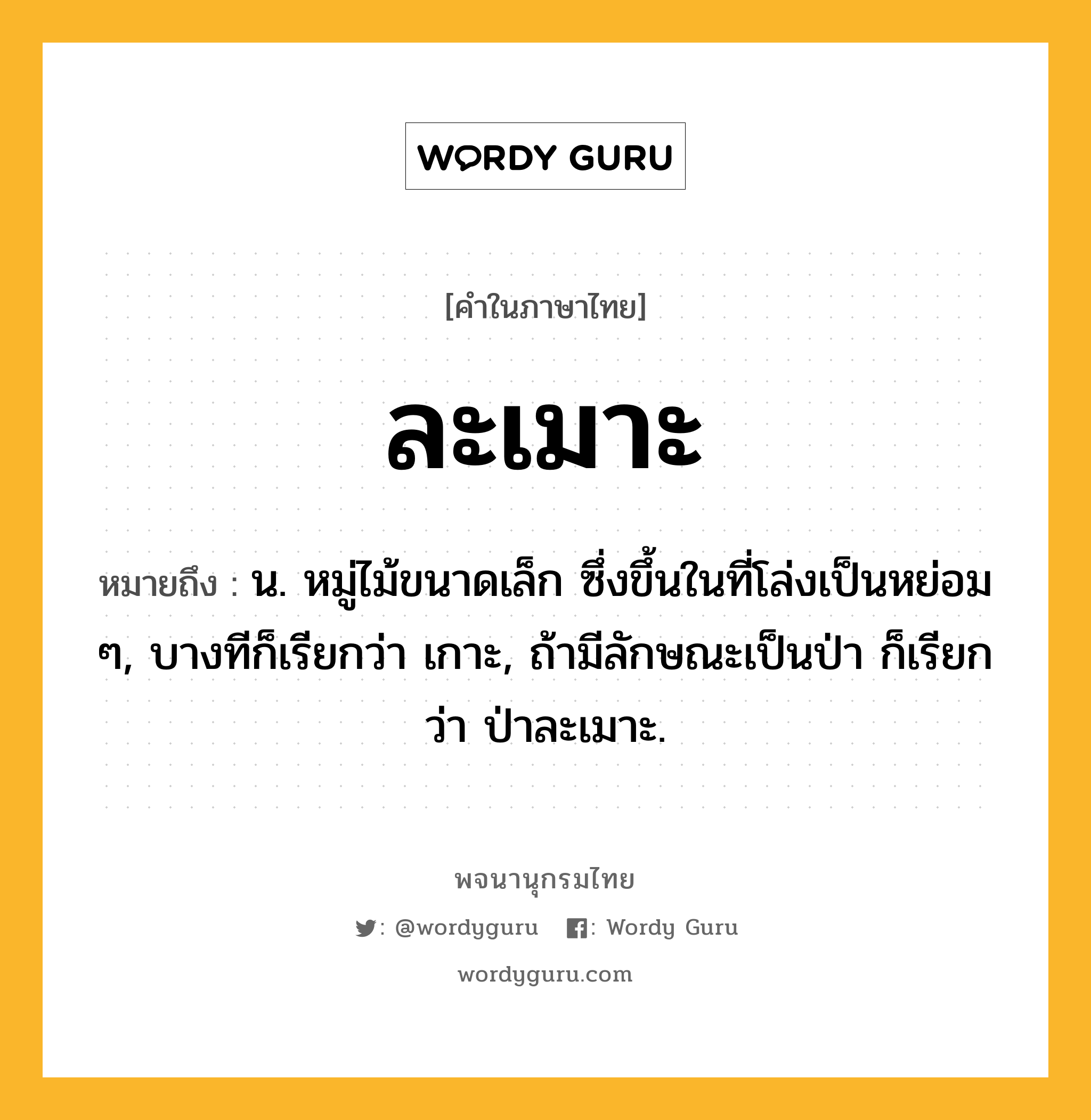 ละเมาะ หมายถึงอะไร?, คำในภาษาไทย ละเมาะ หมายถึง น. หมู่ไม้ขนาดเล็ก ซึ่งขึ้นในที่โล่งเป็นหย่อม ๆ, บางทีก็เรียกว่า เกาะ, ถ้ามีลักษณะเป็นป่า ก็เรียกว่า ป่าละเมาะ.