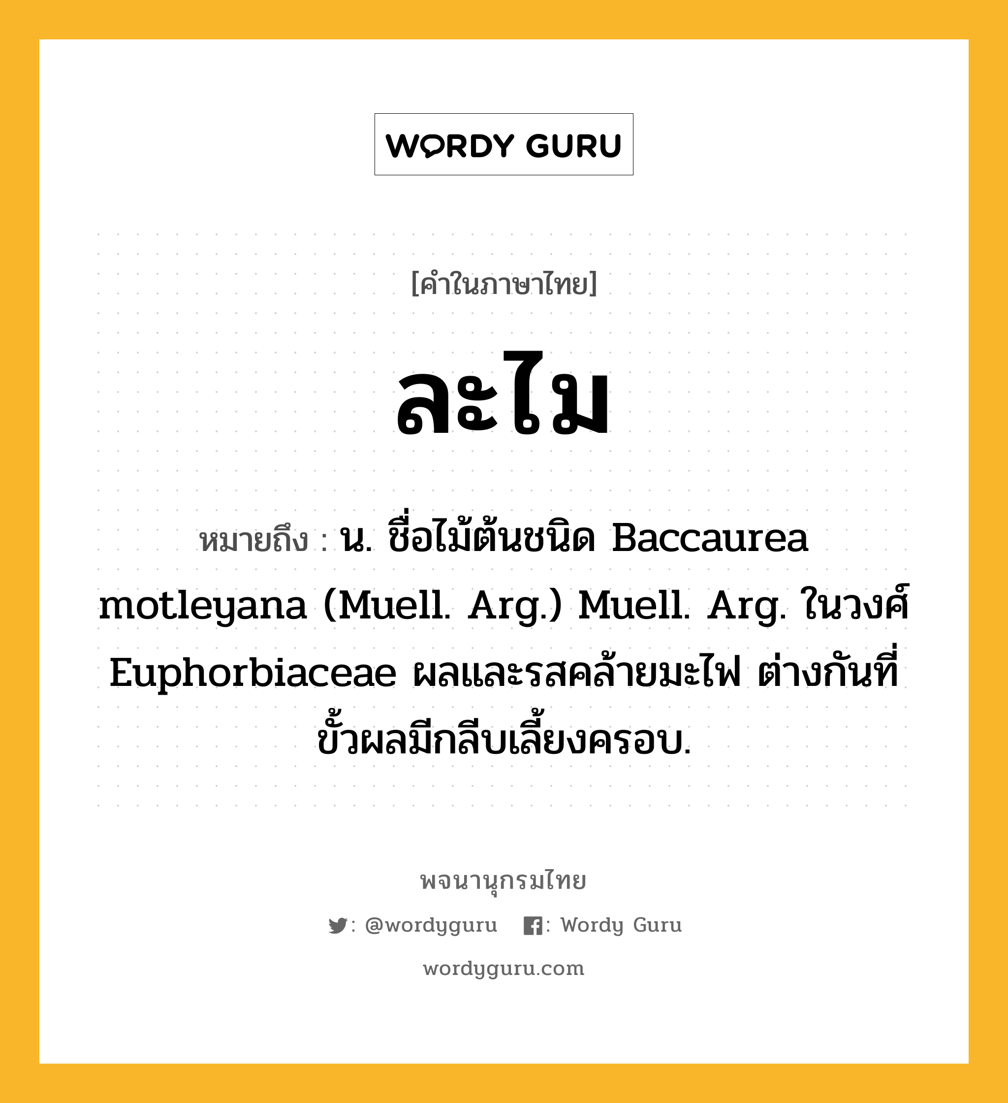 ละไม ความหมาย หมายถึงอะไร?, คำในภาษาไทย ละไม หมายถึง น. ชื่อไม้ต้นชนิด Baccaurea motleyana (Muell. Arg.) Muell. Arg. ในวงศ์ Euphorbiaceae ผลและรสคล้ายมะไฟ ต่างกันที่ขั้วผลมีกลีบเลี้ยงครอบ.