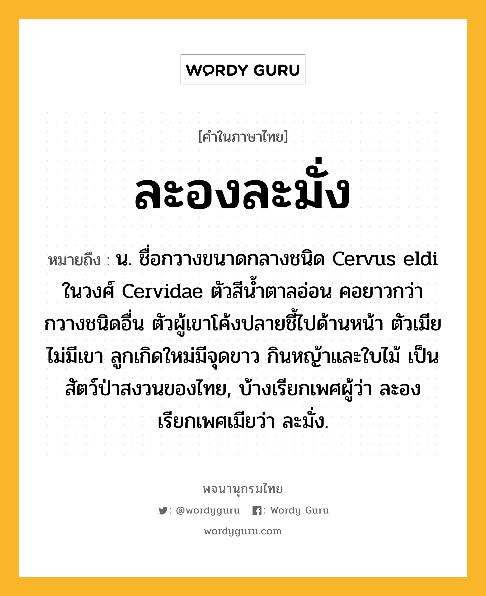 ละองละมั่ง หมายถึงอะไร?, คำในภาษาไทย ละองละมั่ง หมายถึง น. ชื่อกวางขนาดกลางชนิด Cervus eldi ในวงศ์ Cervidae ตัวสีนํ้าตาลอ่อน คอยาวกว่ากวางชนิดอื่น ตัวผู้เขาโค้งปลายชี้ไปด้านหน้า ตัวเมียไม่มีเขา ลูกเกิดใหม่มีจุดขาว กินหญ้าและใบไม้ เป็นสัตว์ป่าสงวนของไทย, บ้างเรียกเพศผู้ว่า ละอง เรียกเพศเมียว่า ละมั่ง.